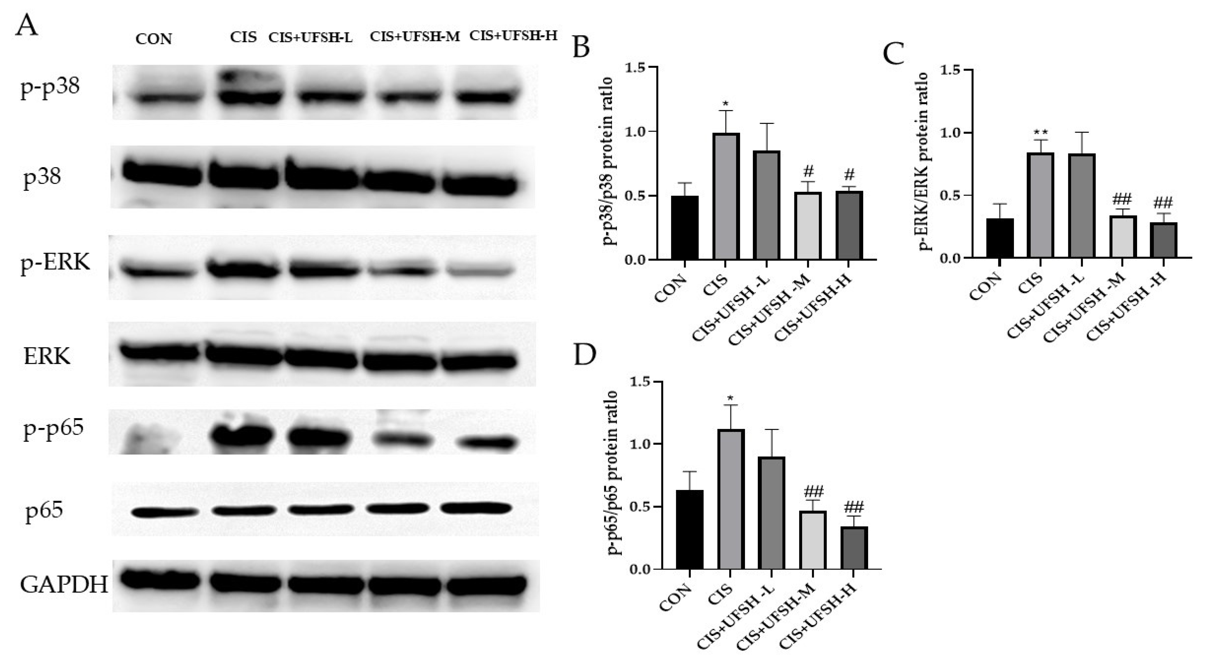 Marinedrugs 23 00100 g009
