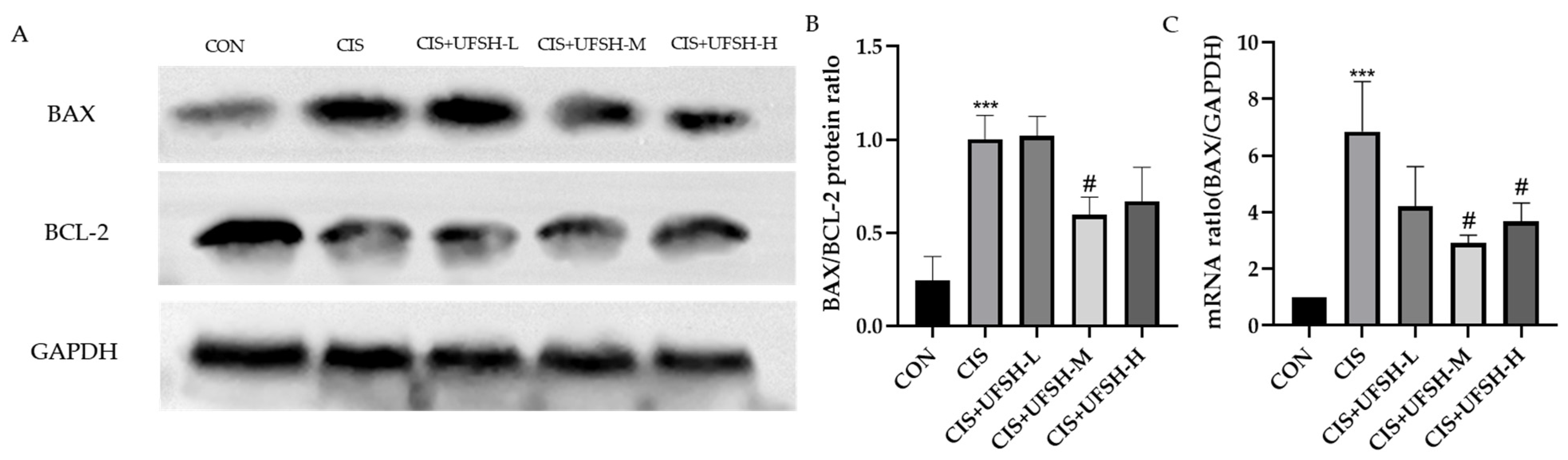 Marinedrugs 23 00100 g010
