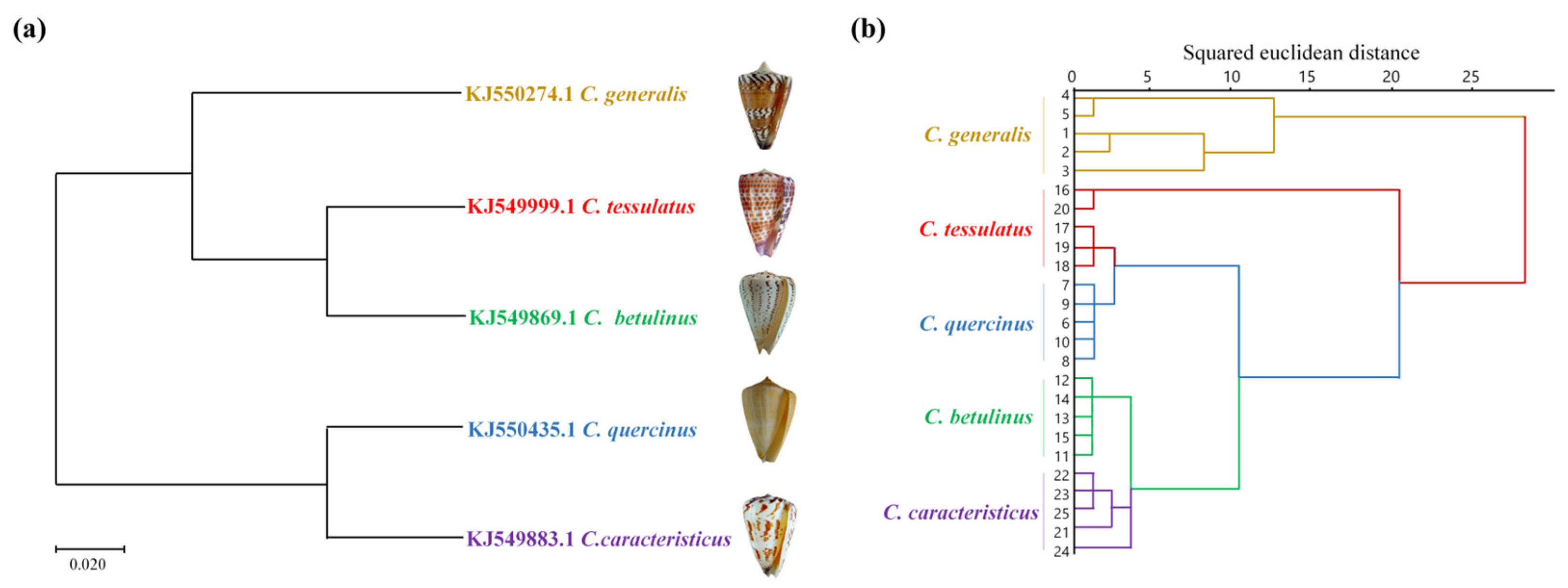 Marinedrugs 23 00102 g002