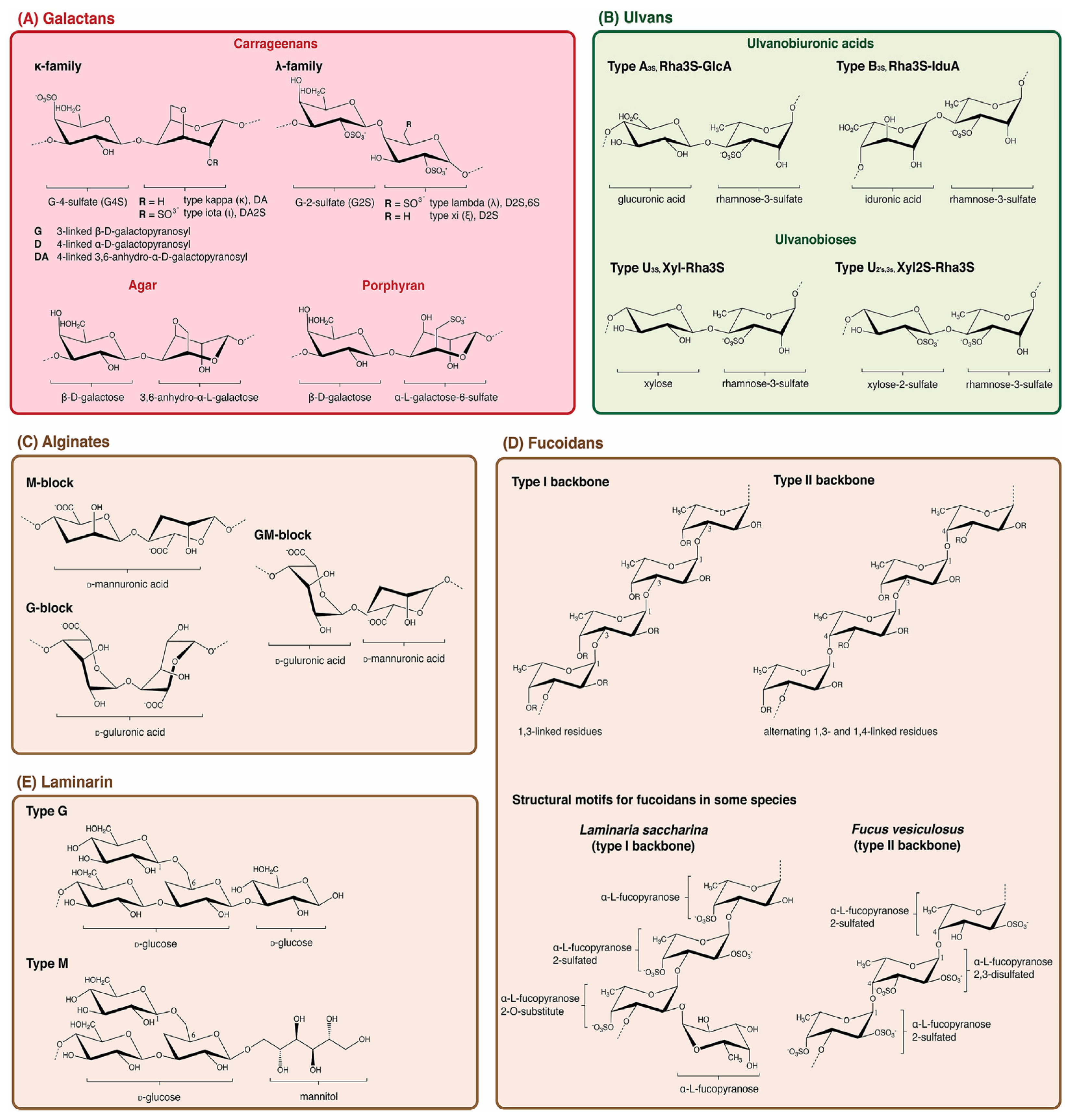 Marinedrugs 23 00105 g002