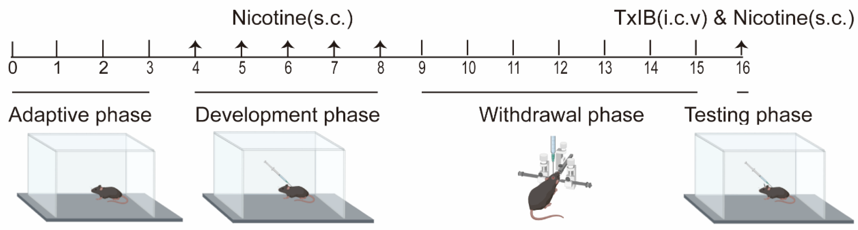 Marinedrugs 23 00109 g002