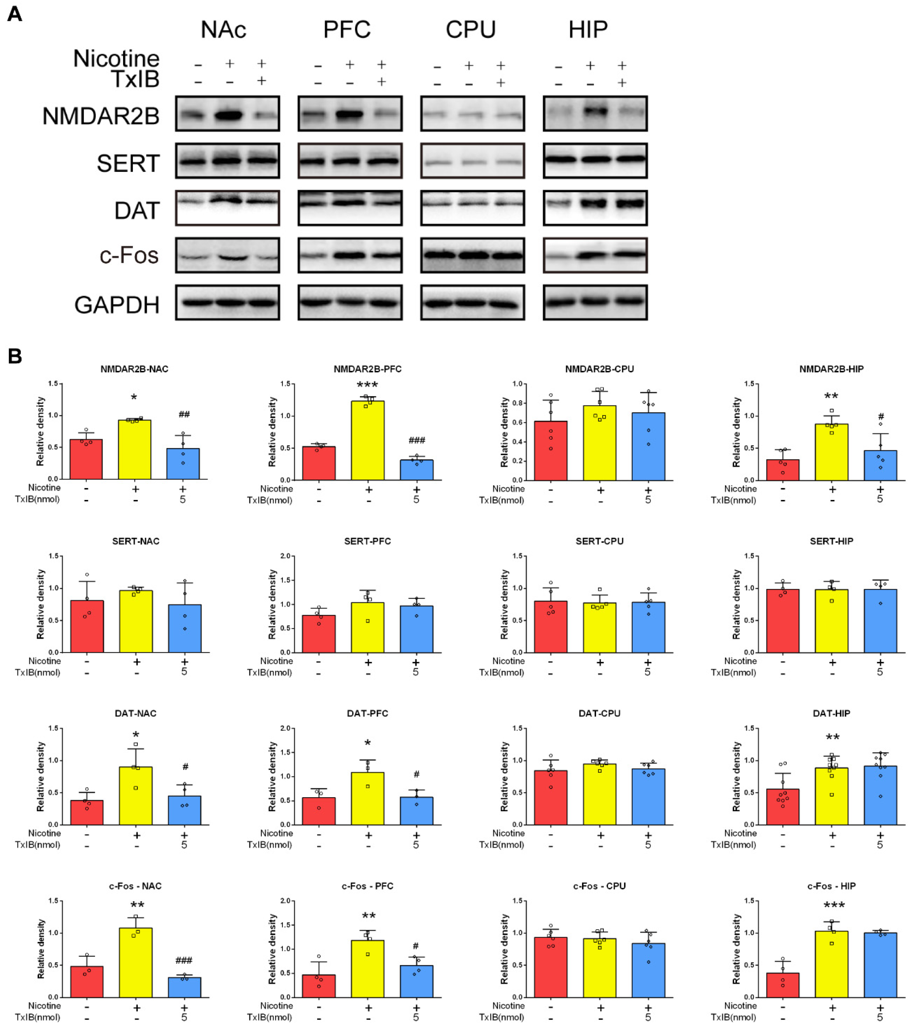 Marinedrugs 23 00109 g006