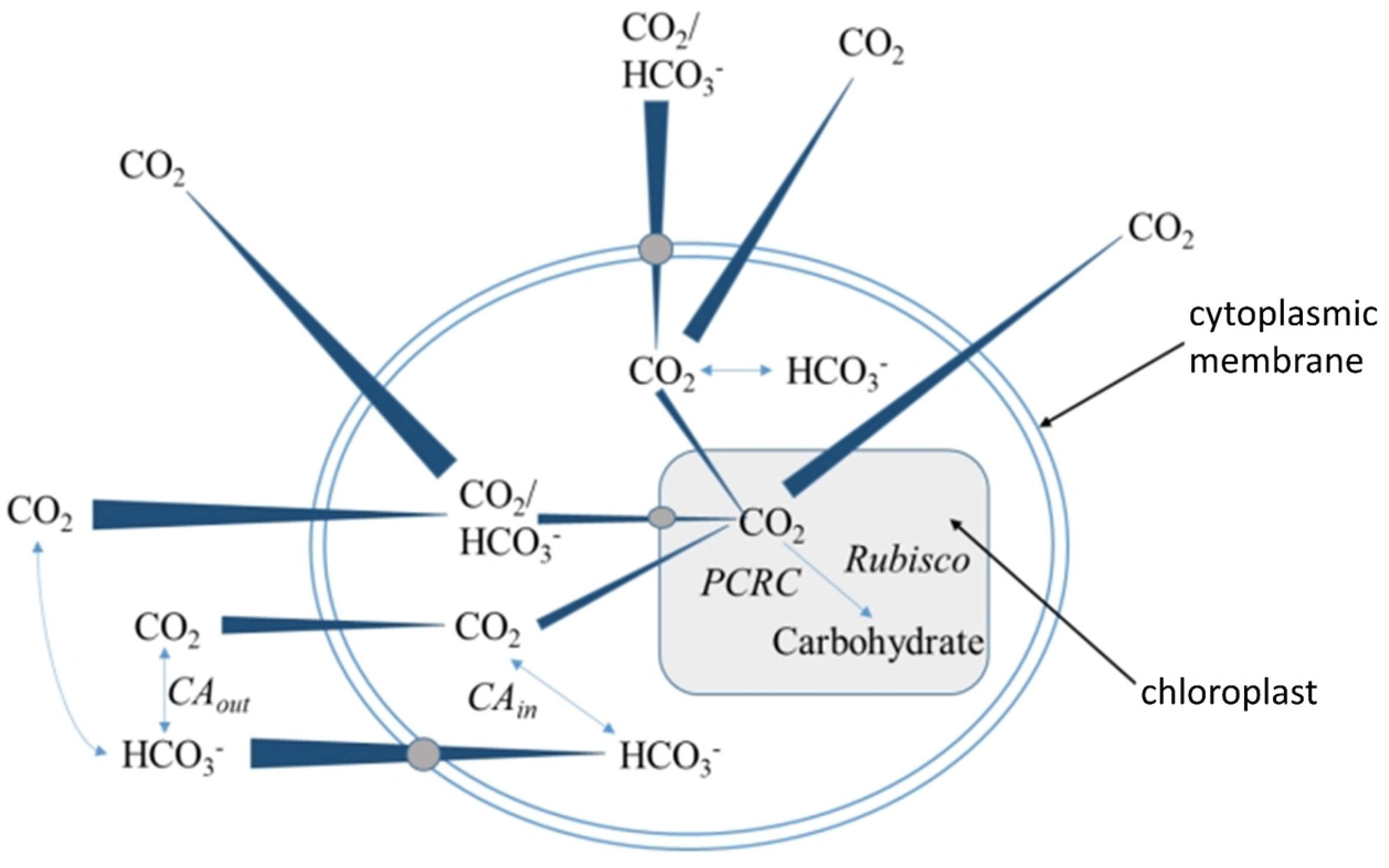 Marinedrugs 23 00113 g004