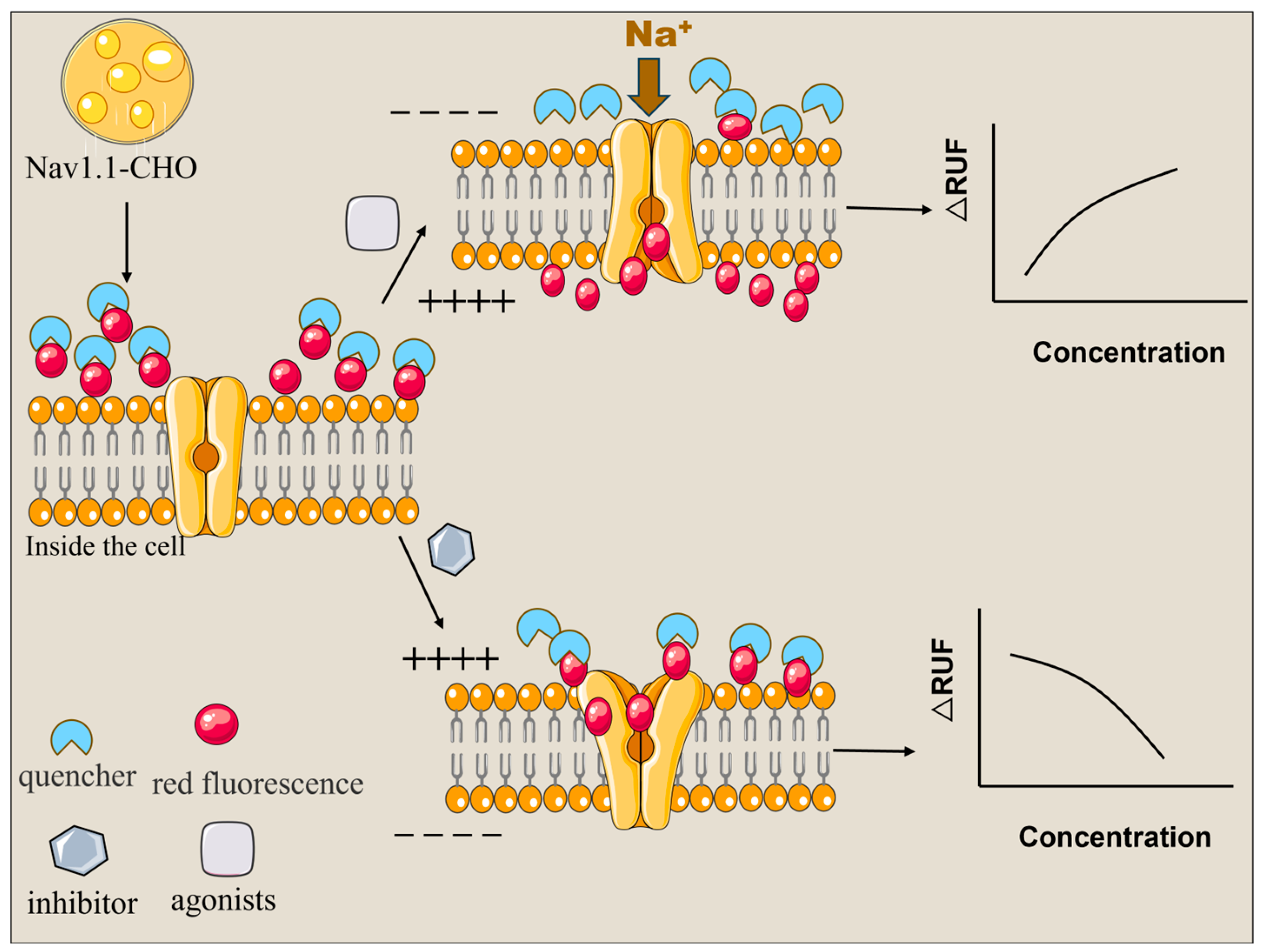 Marinedrugs 23 00119 g001