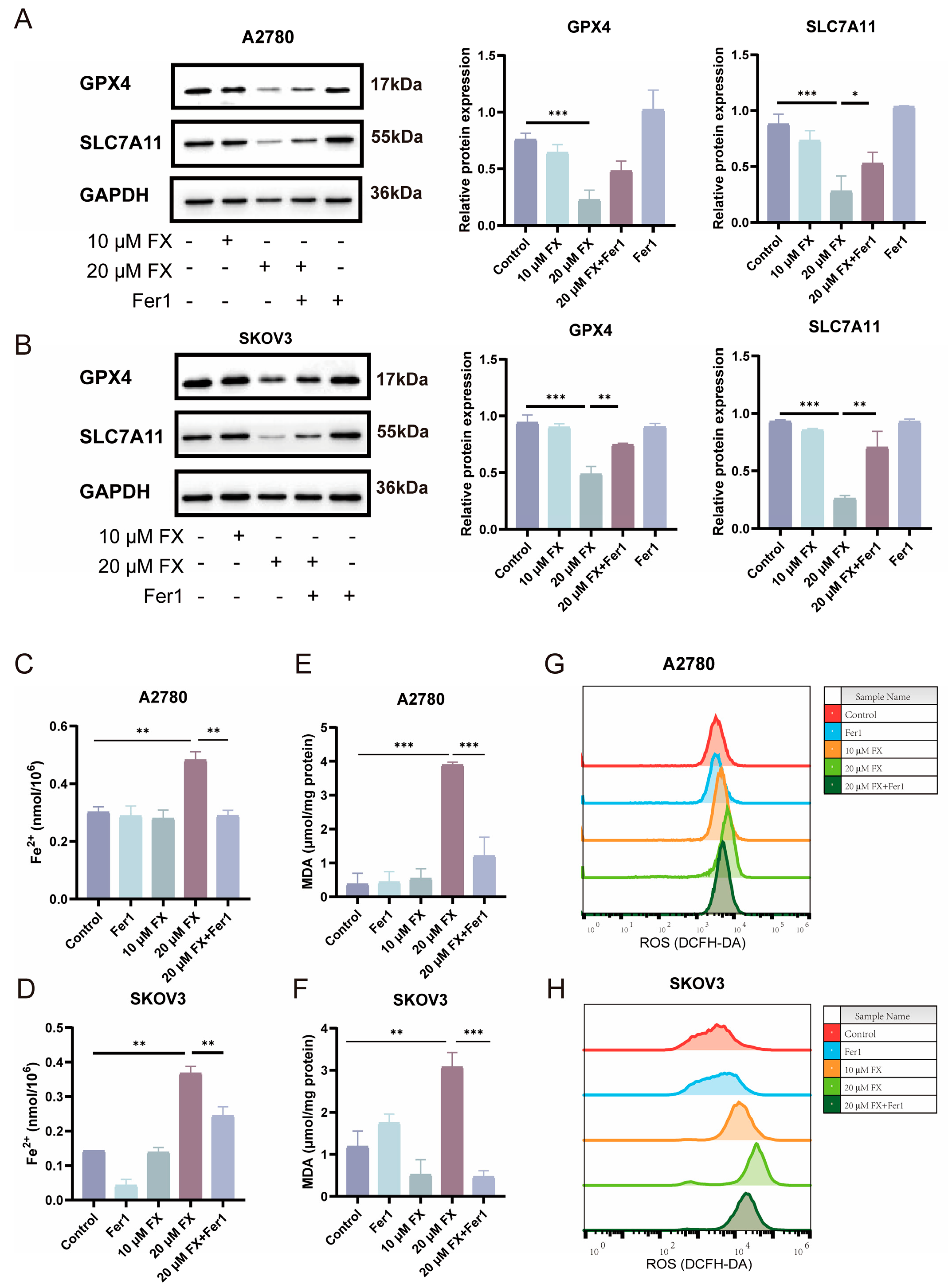 Marinedrugs 23 00123 g004