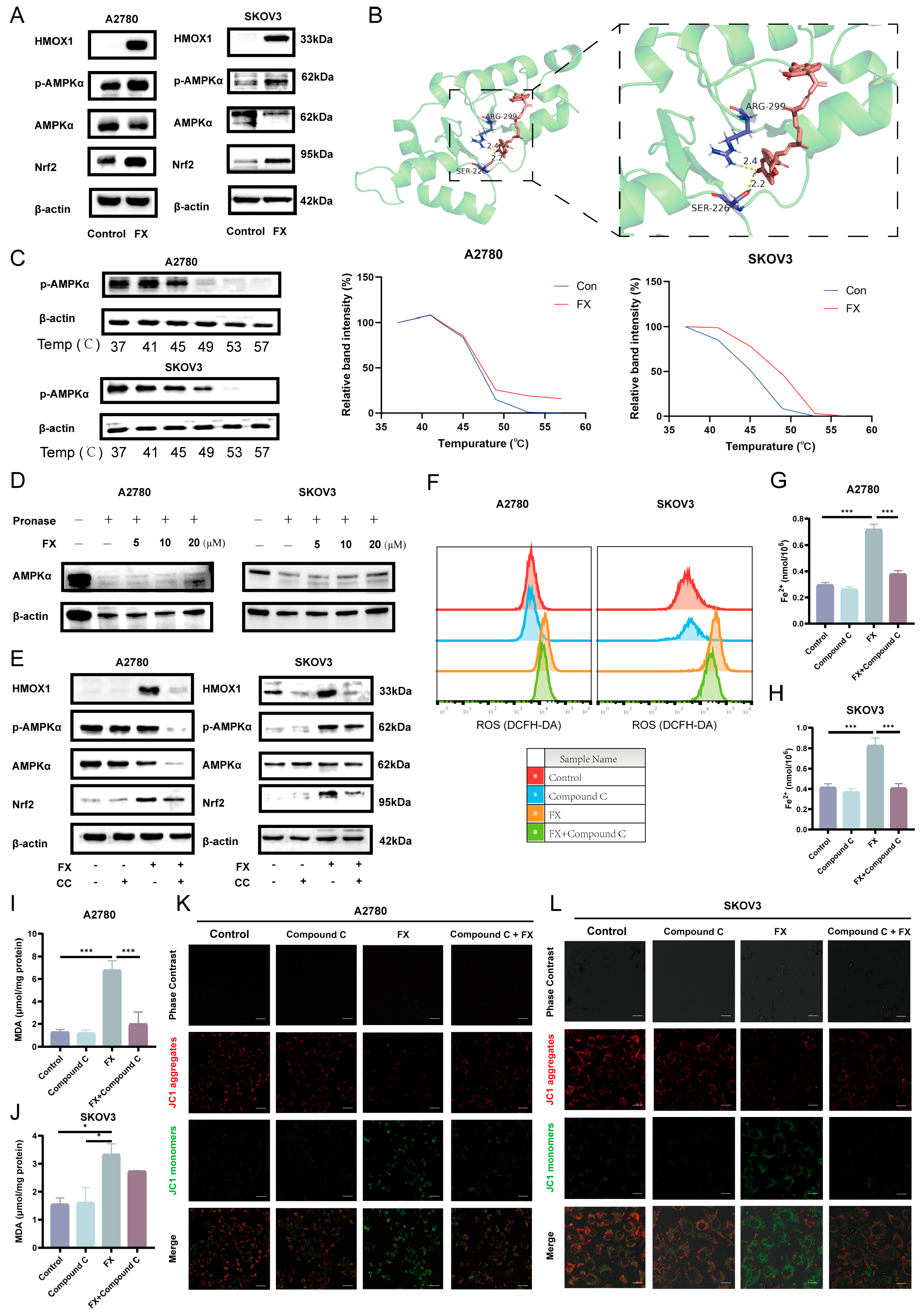 Marinedrugs 23 00123 g006