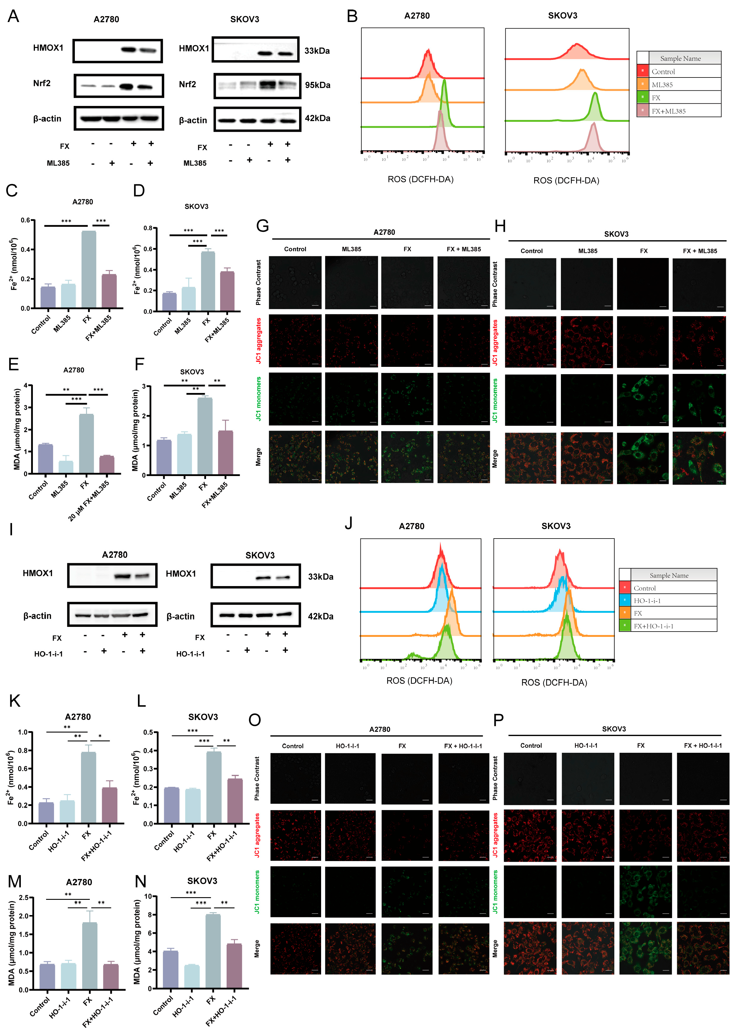 Marinedrugs 23 00123 g007