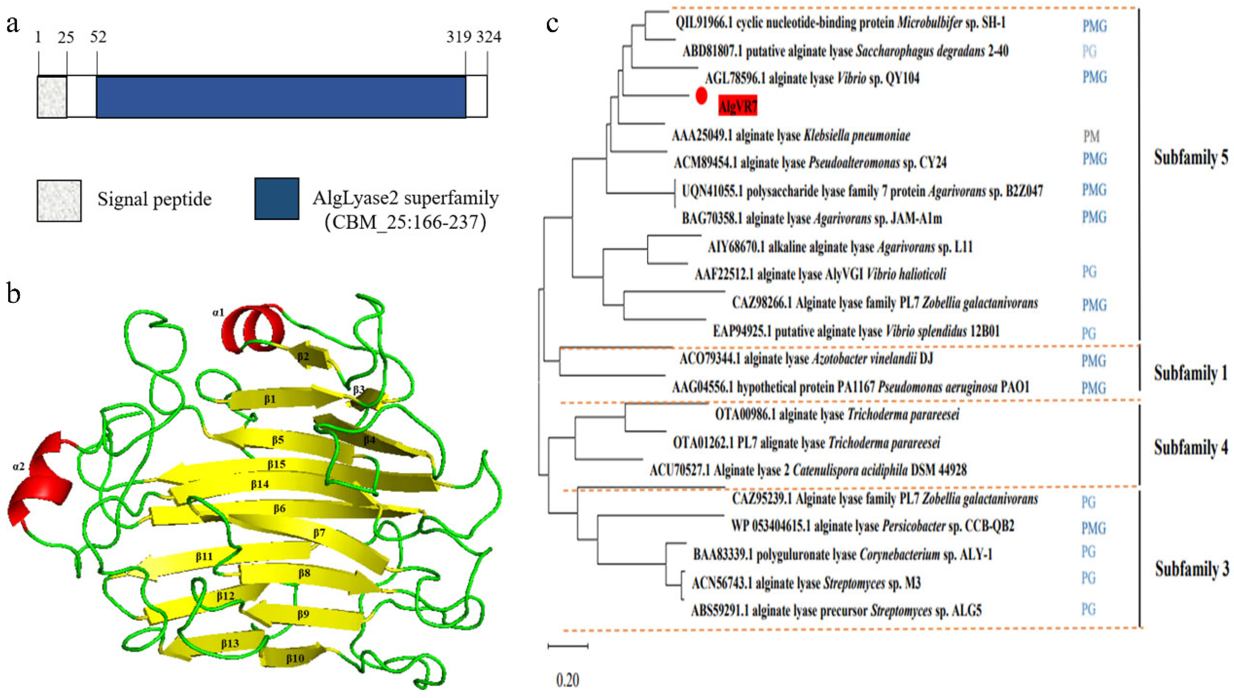 Marinedrugs 23 00124 g001 Marinedrugs 23 00124 g001