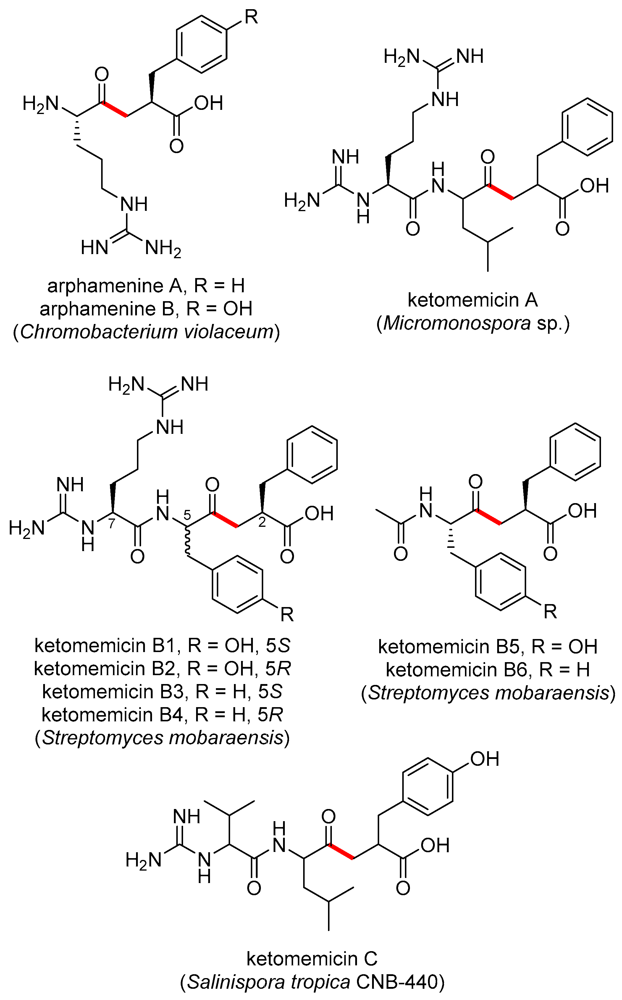 Marinedrugs 23 00126 g001