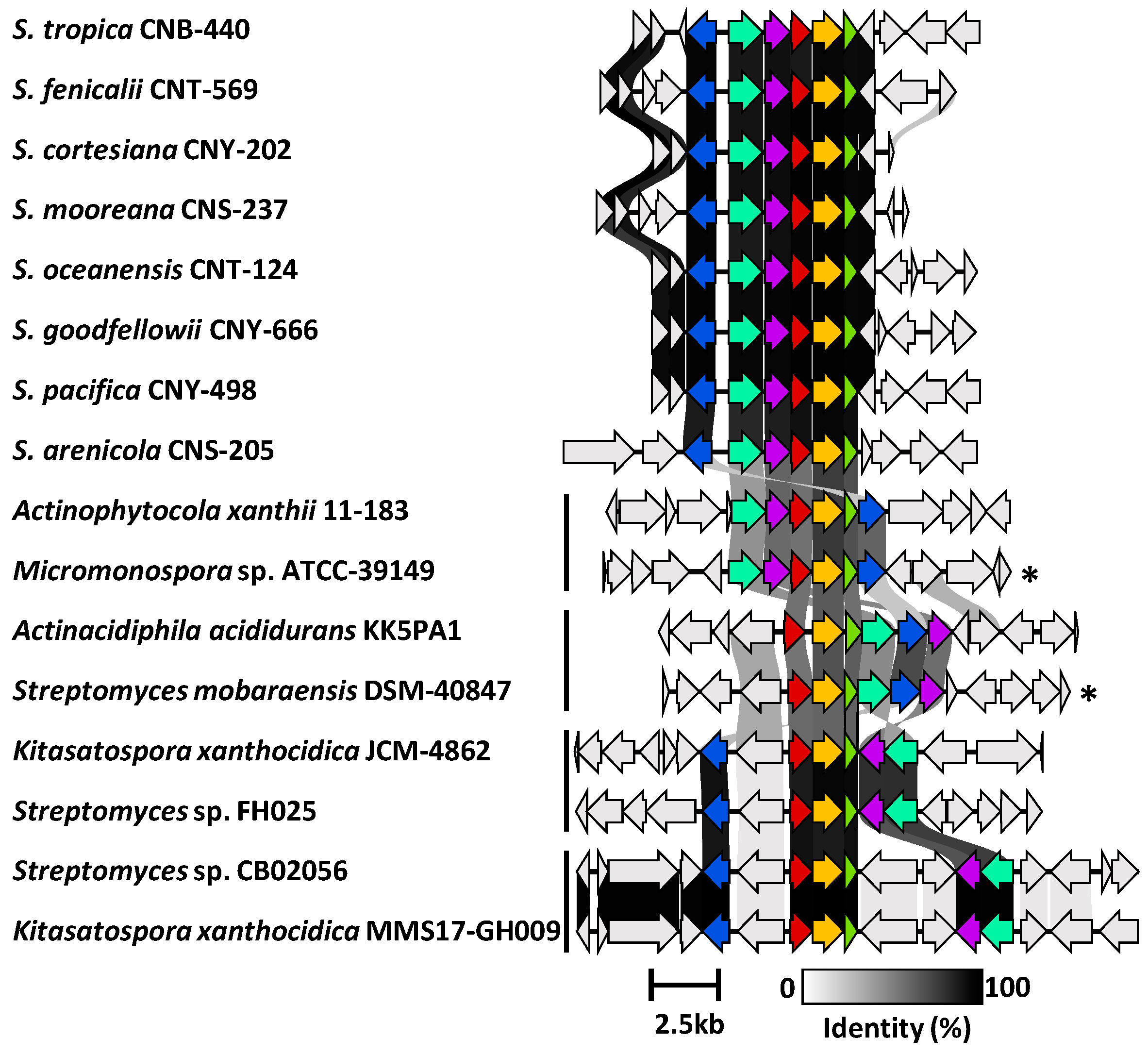 Marinedrugs 23 00126 g005