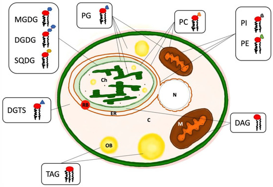 Marinedrugs 23 00128 g003