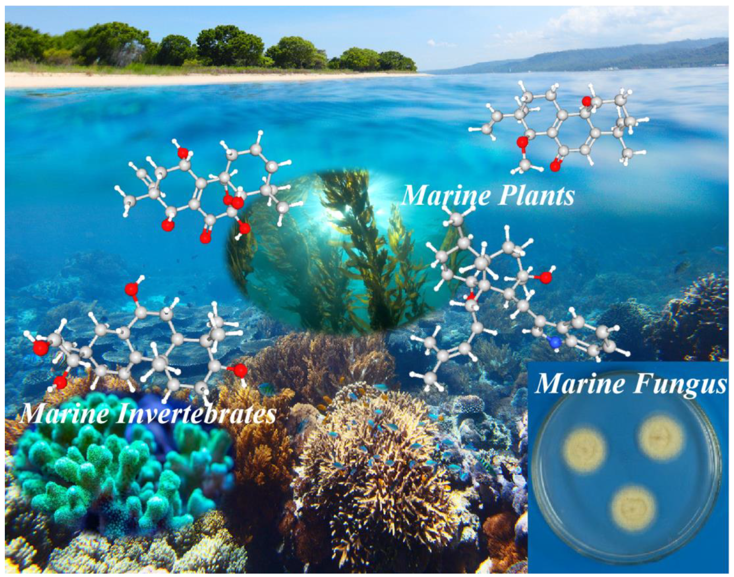 Marinedrugs 23 00131 g001