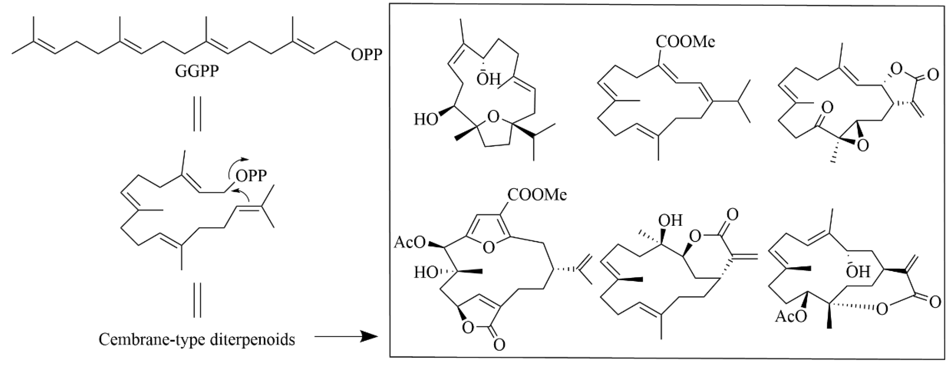 Marinedrugs 23 00131 g004