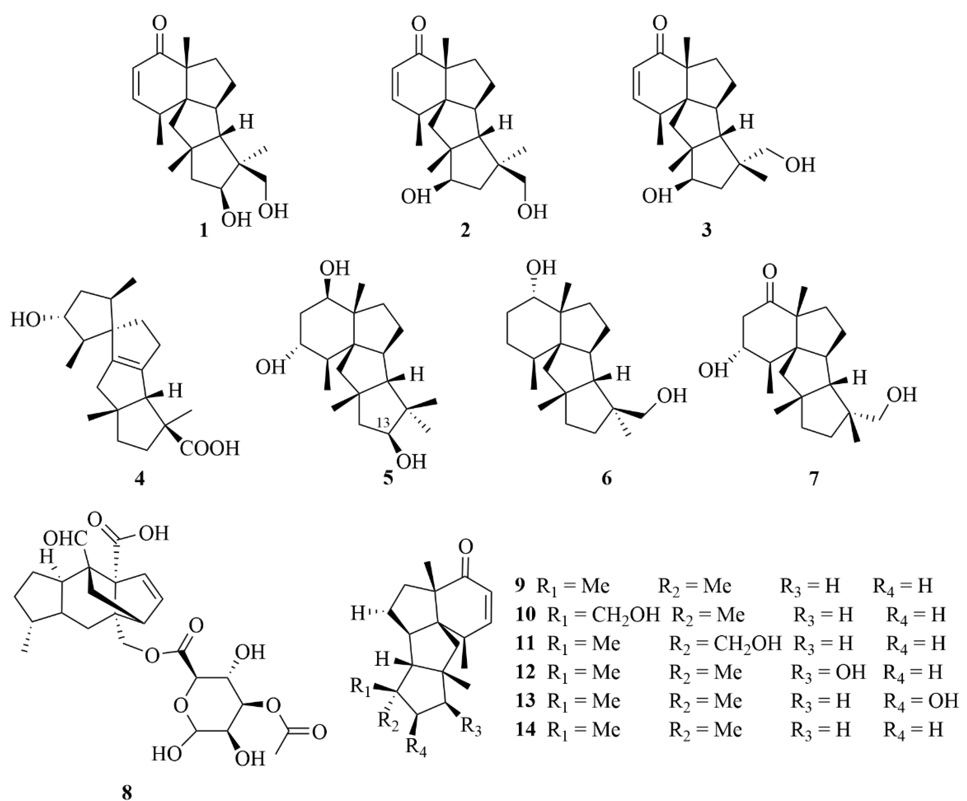 Marinedrugs 23 00131 g005