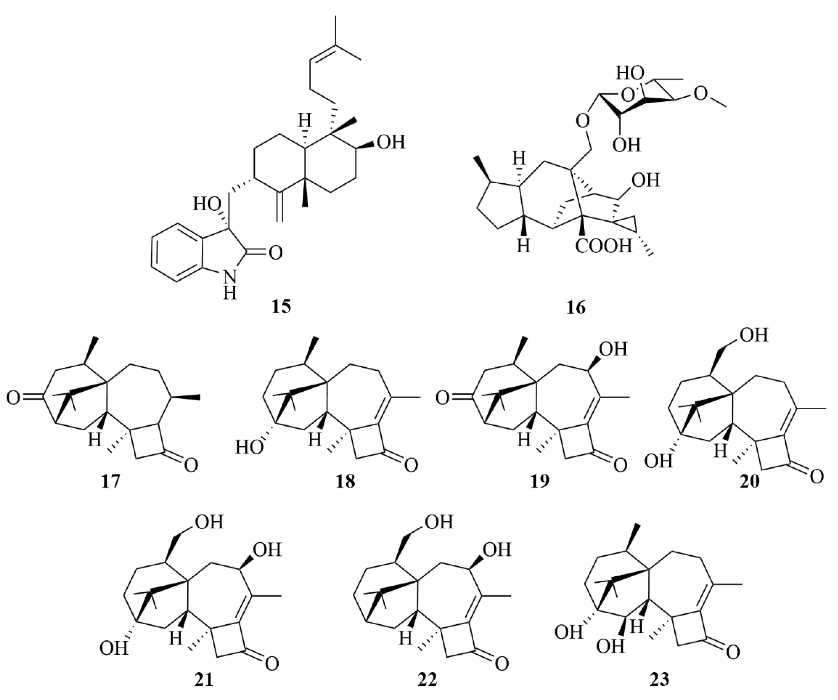 Marinedrugs 23 00131 g006