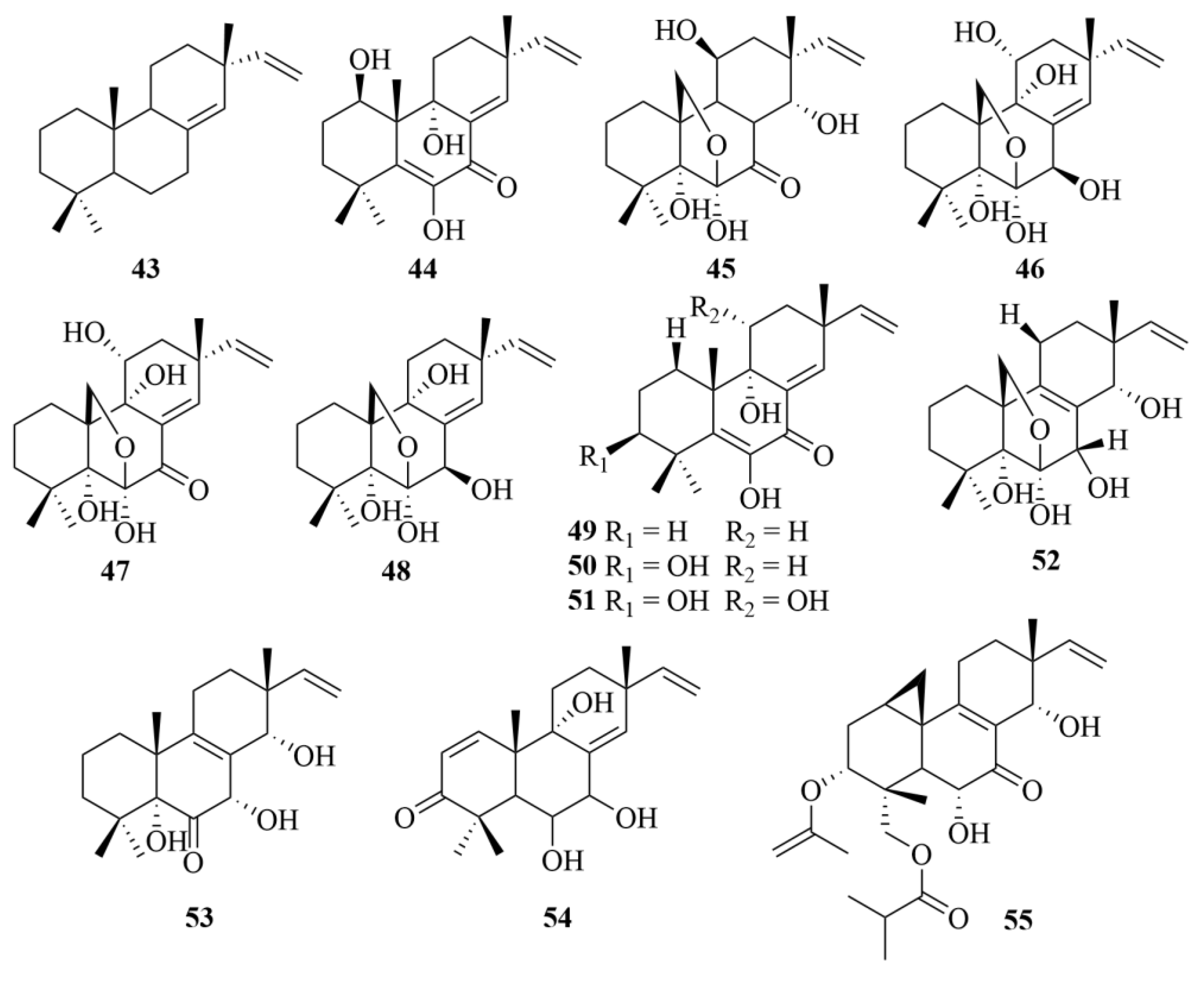 Marinedrugs 23 00131 g008