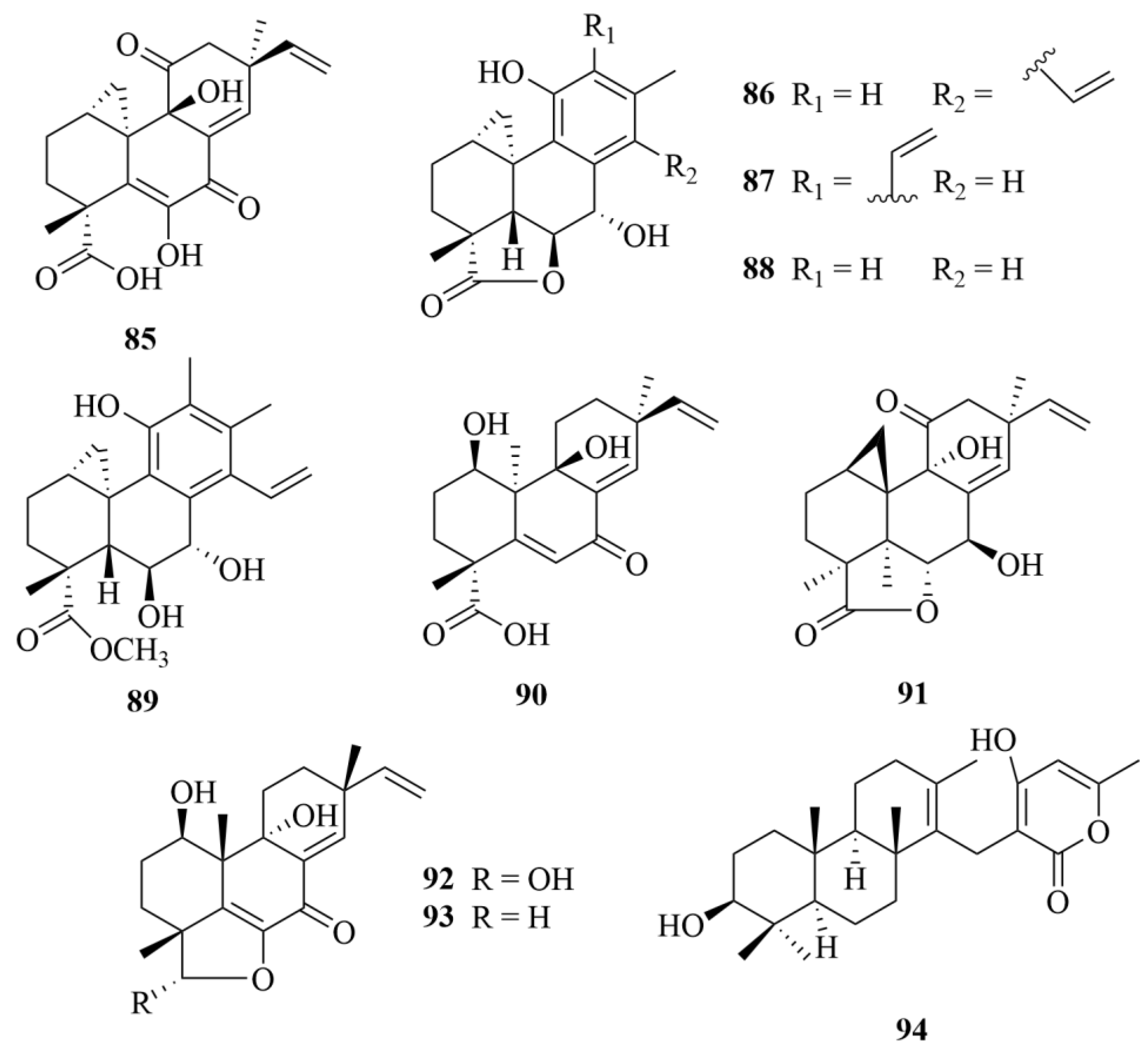Marinedrugs 23 00131 g012