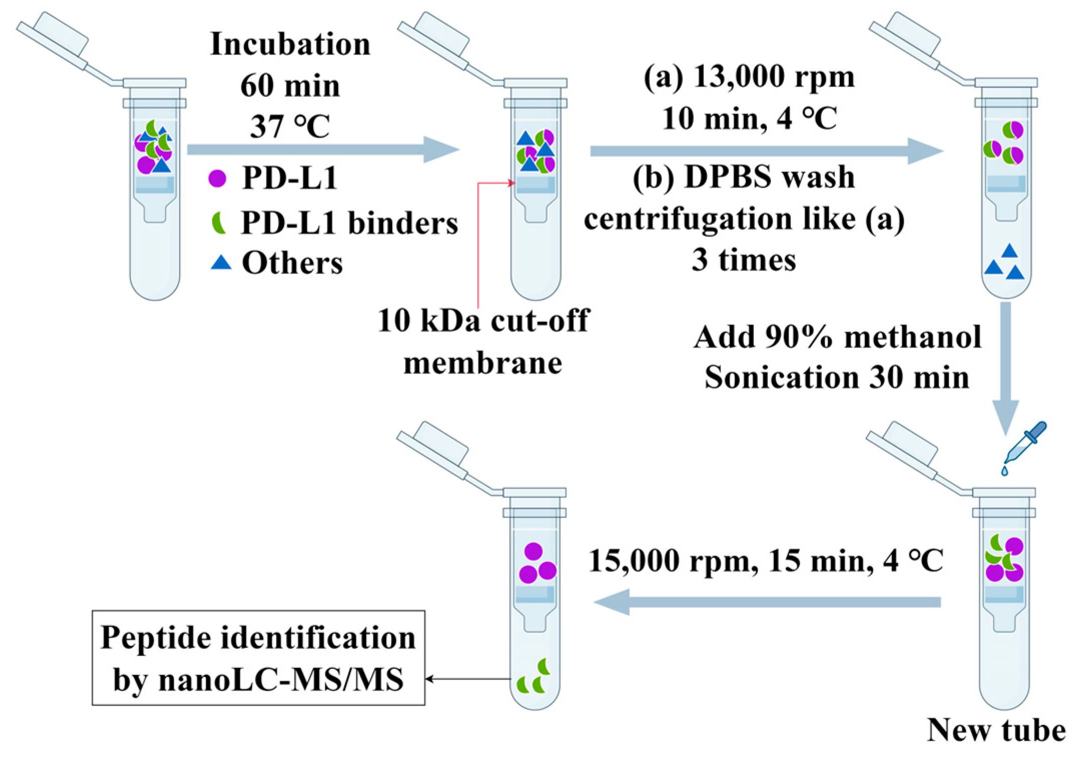 Marinedrugs 23 00137 g006