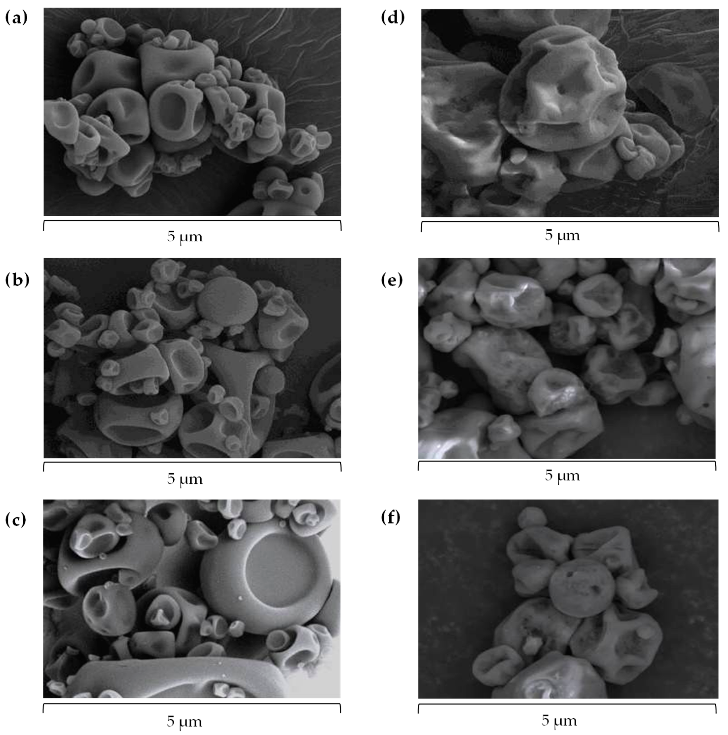 Marinedrugs 23 00143 g002