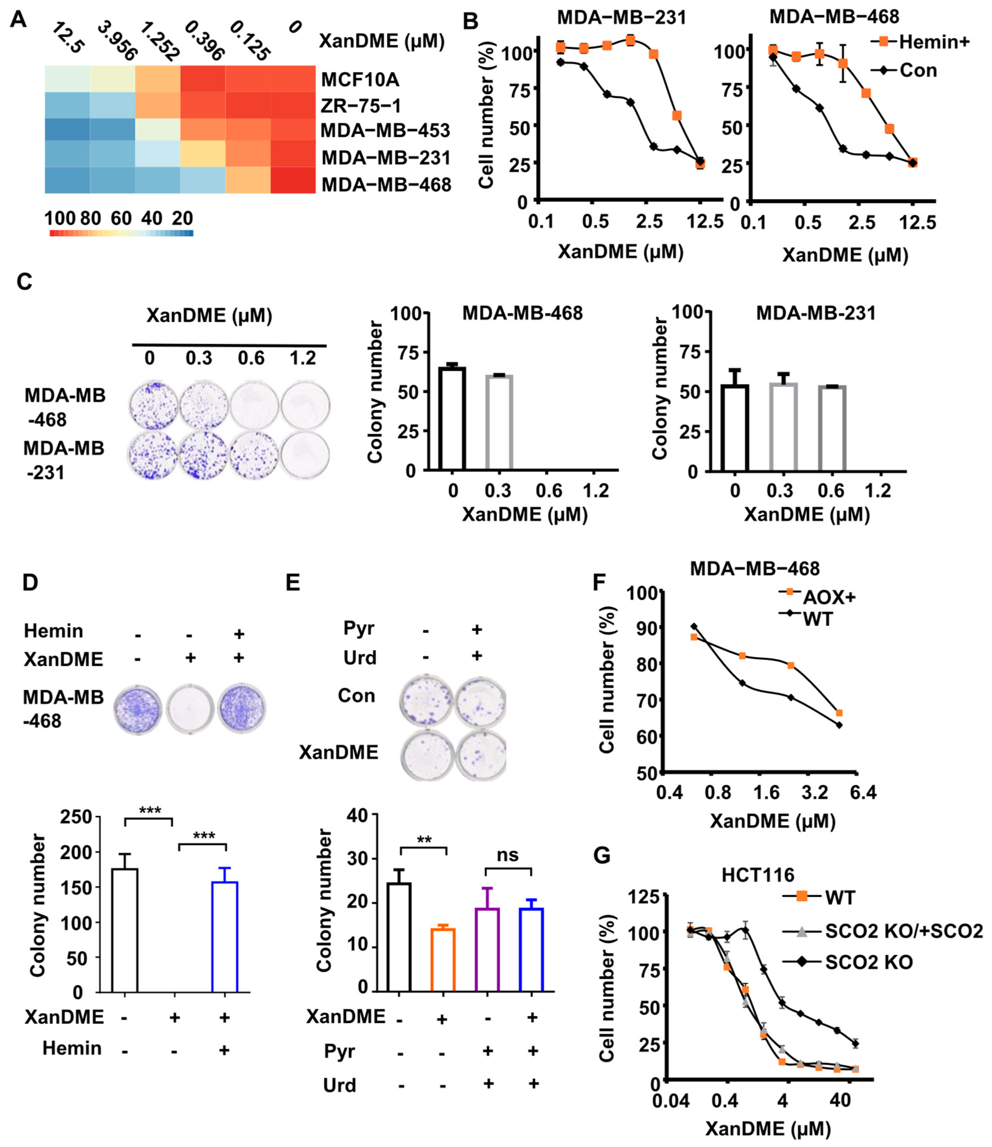 Marinedrugs 23 00146 g004