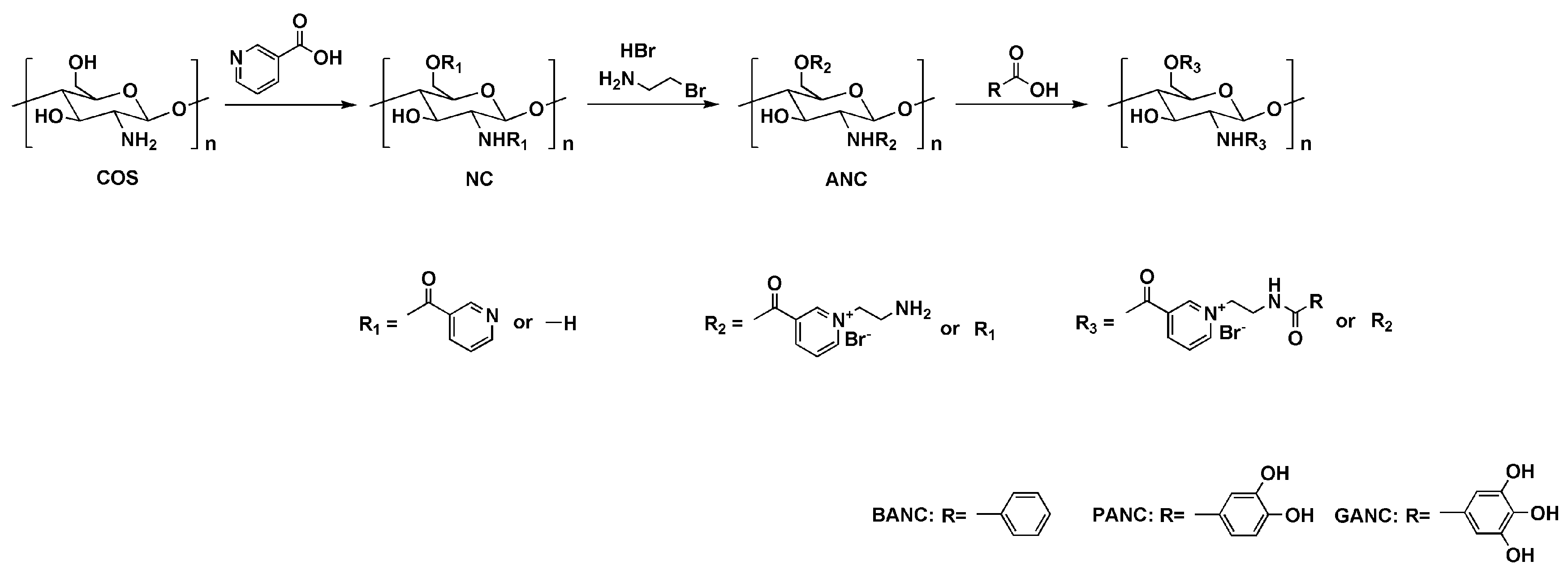 Marinedrugs 23 00150 sch001