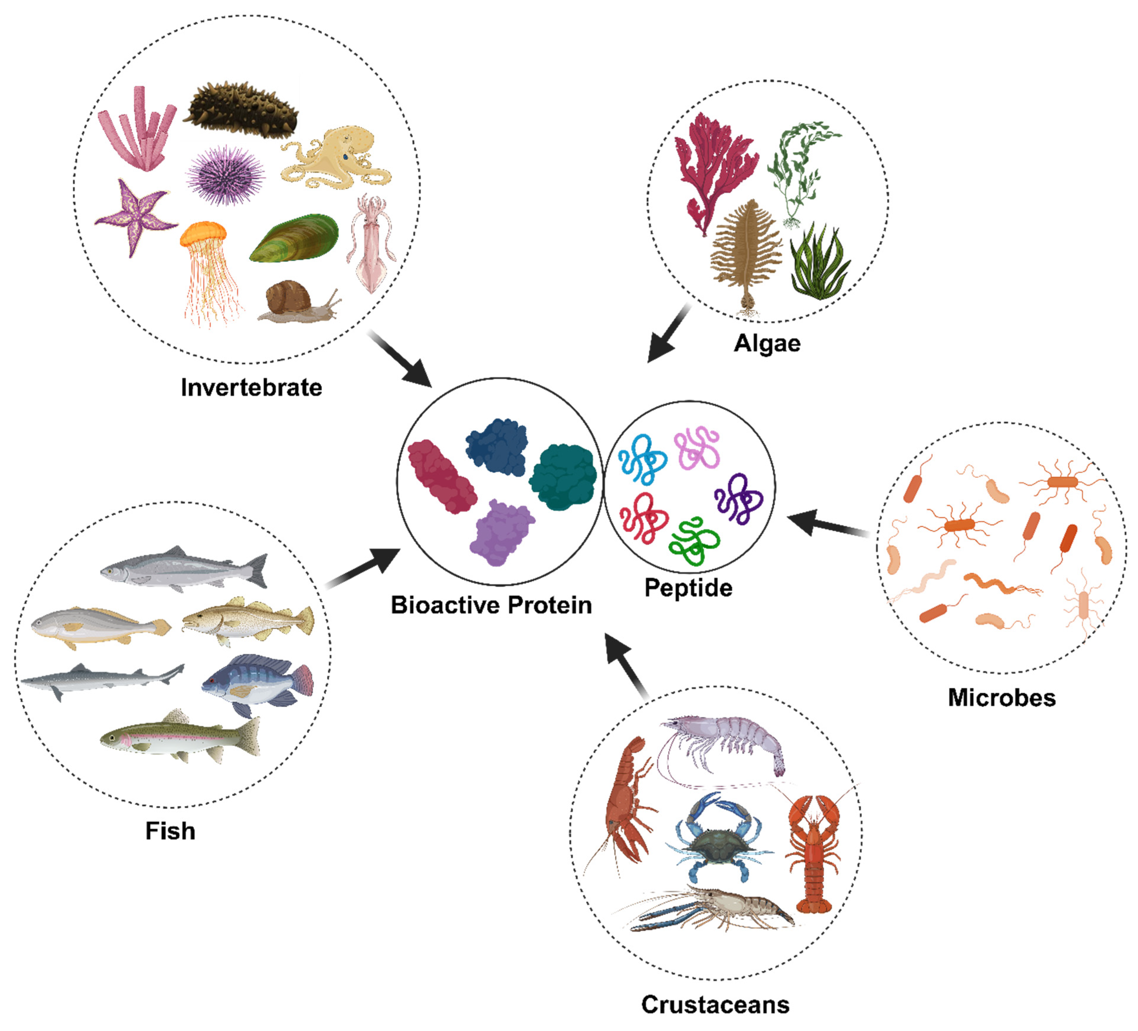 Marinedrugs 23 00157 g001