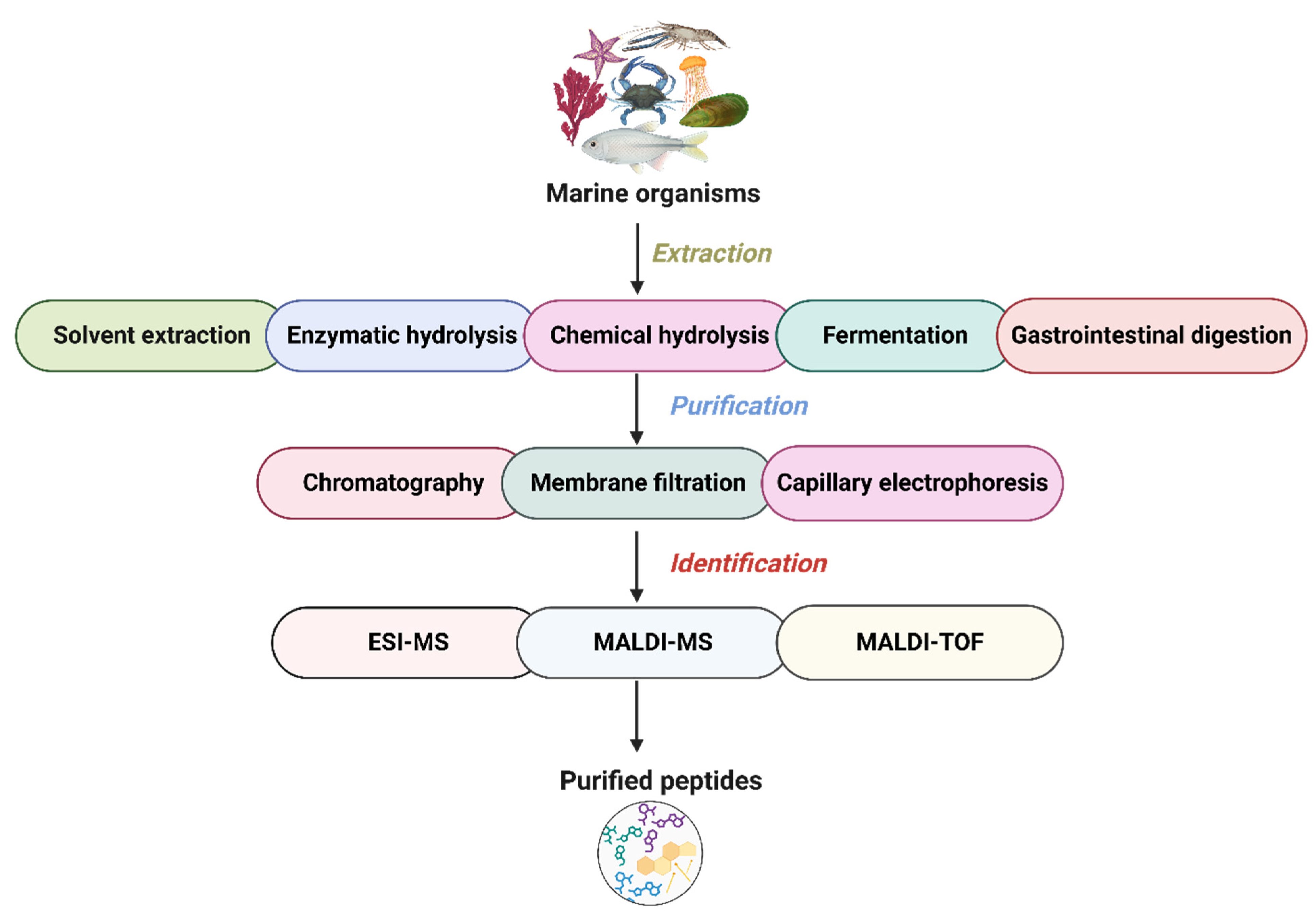 Marinedrugs 23 00157 g002