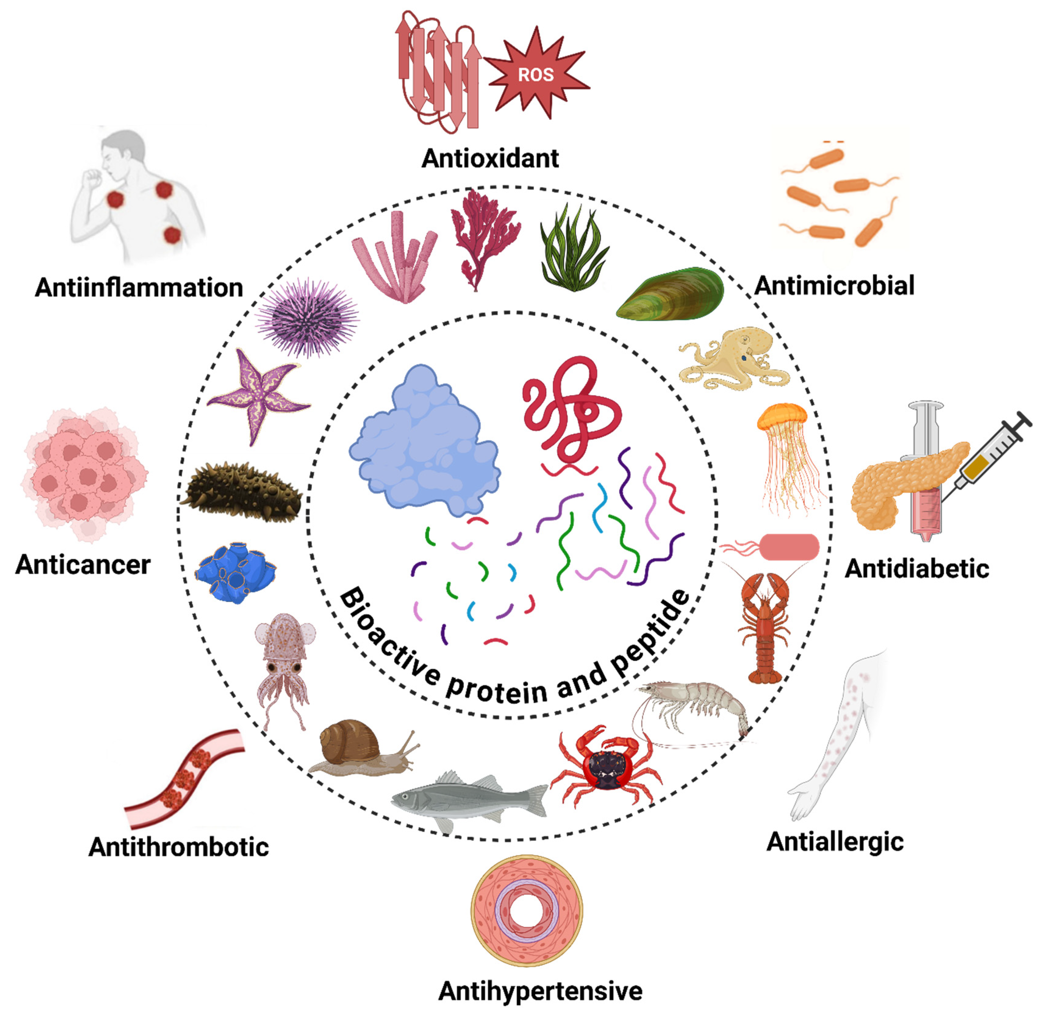 Marinedrugs 23 00157 g003