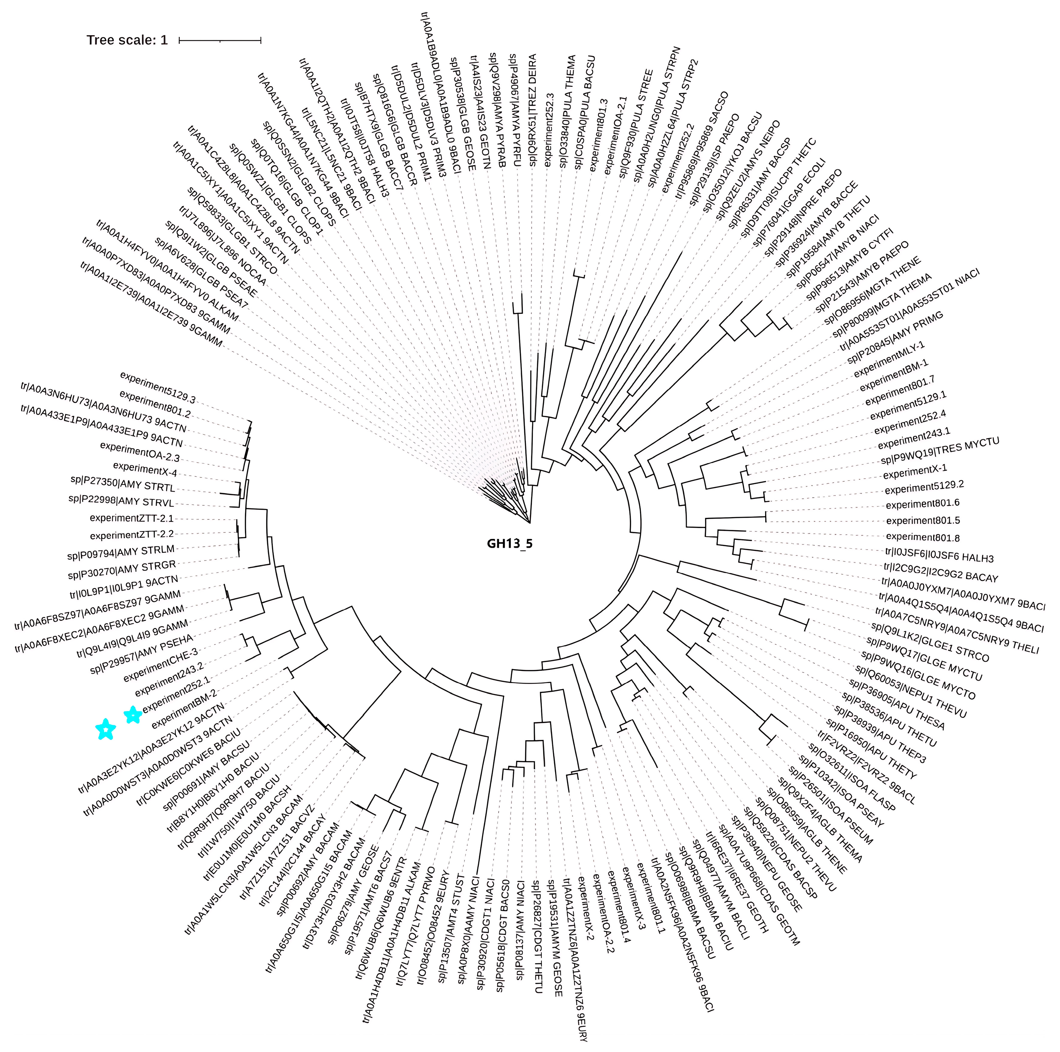 Marinedrugs 23 00159 g001