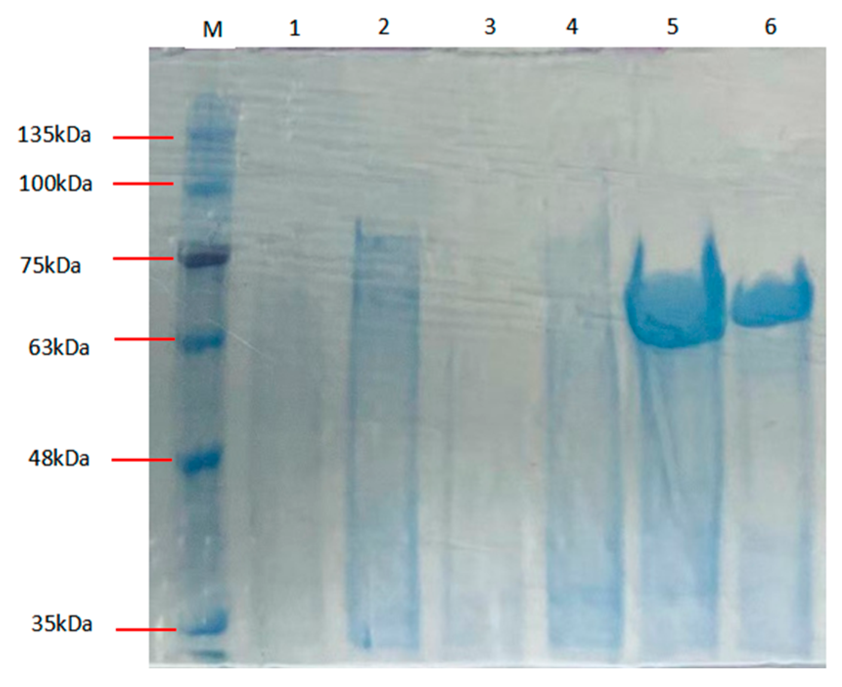 Marinedrugs 23 00159 g002