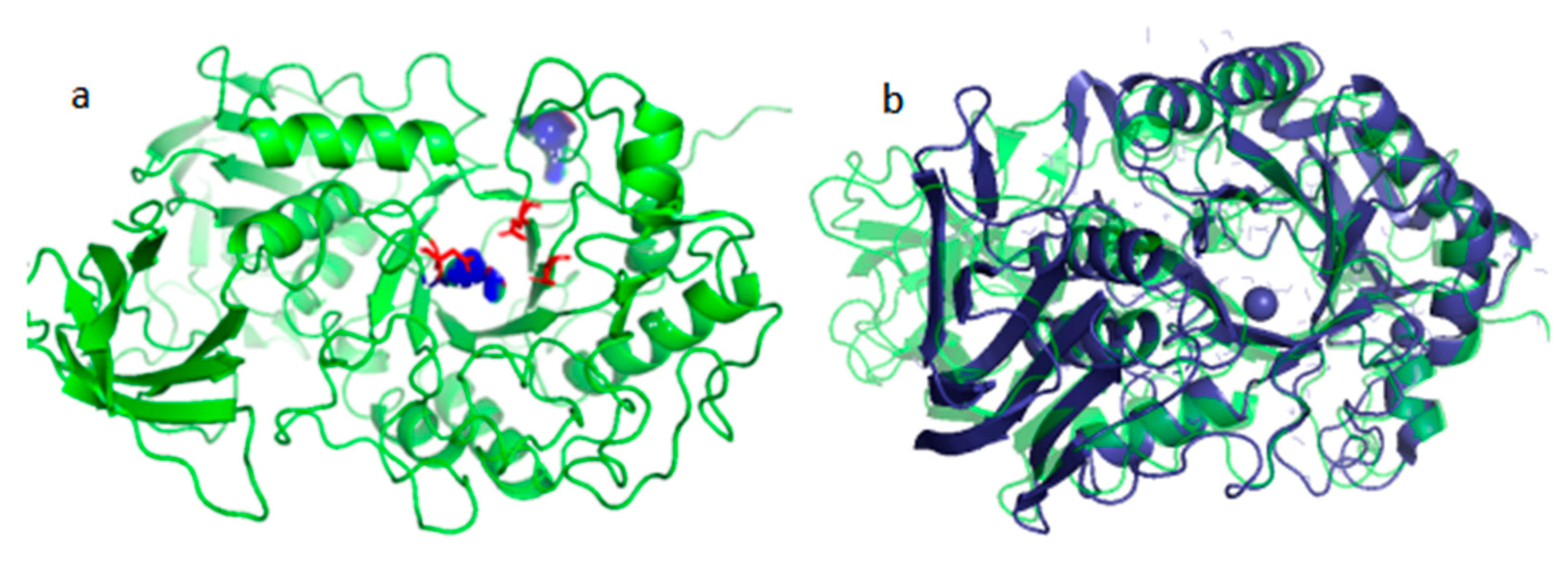 Marinedrugs 23 00159 g008