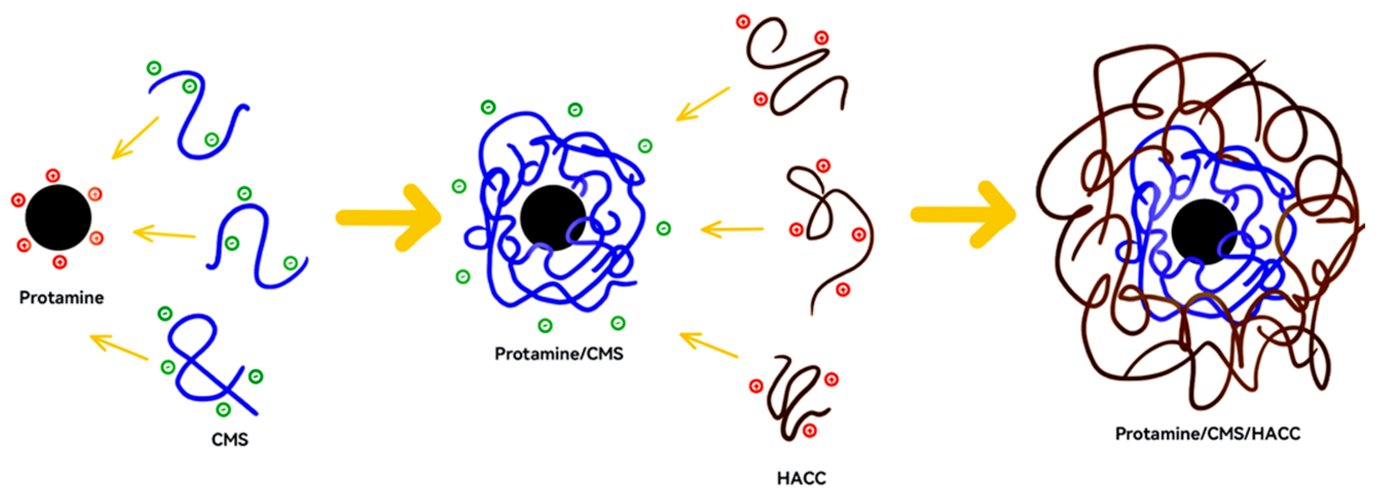 Marinedrugs 23 00160 g007
