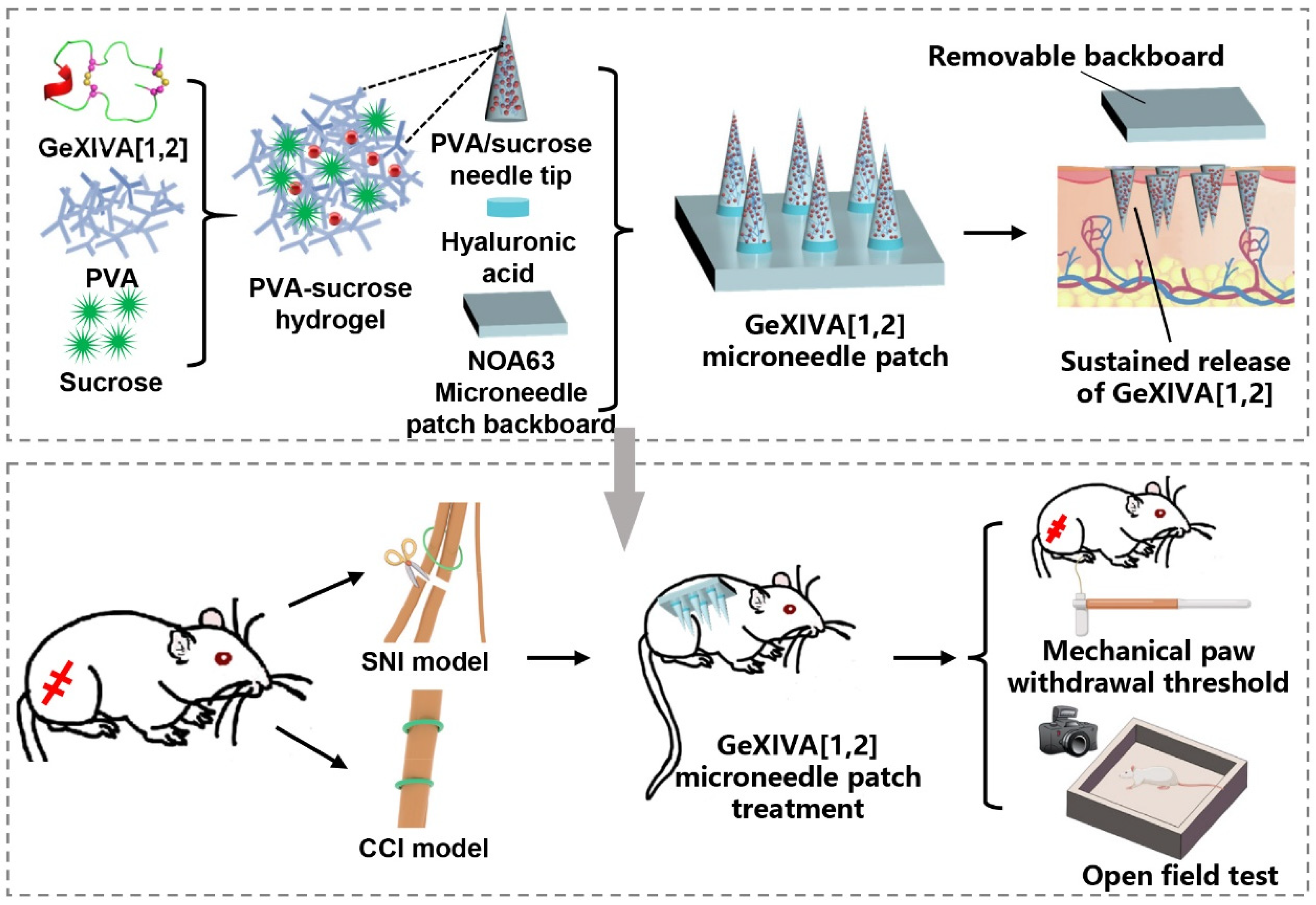Marinedrugs 23 00161 g001