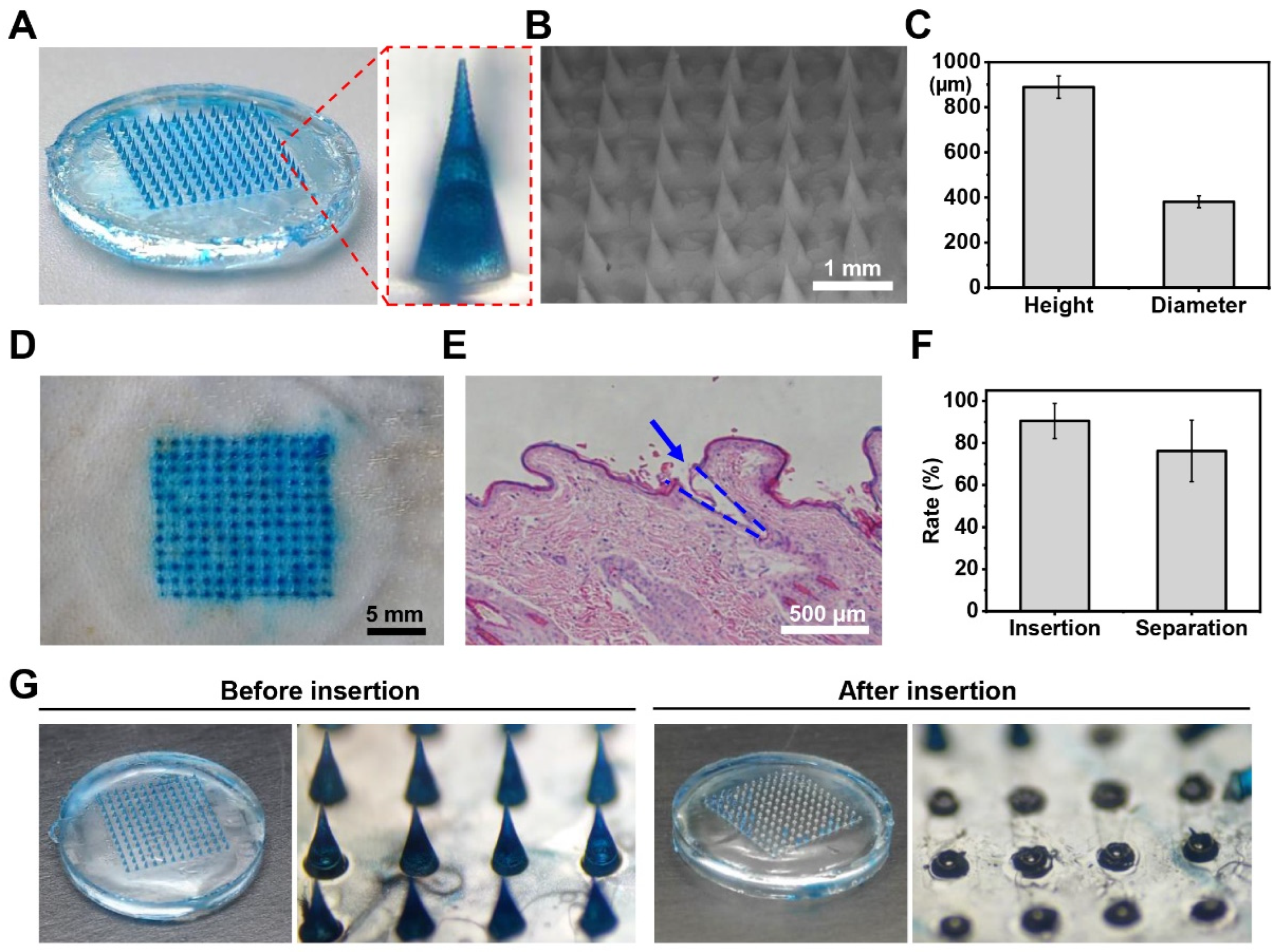 Marinedrugs 23 00161 g003