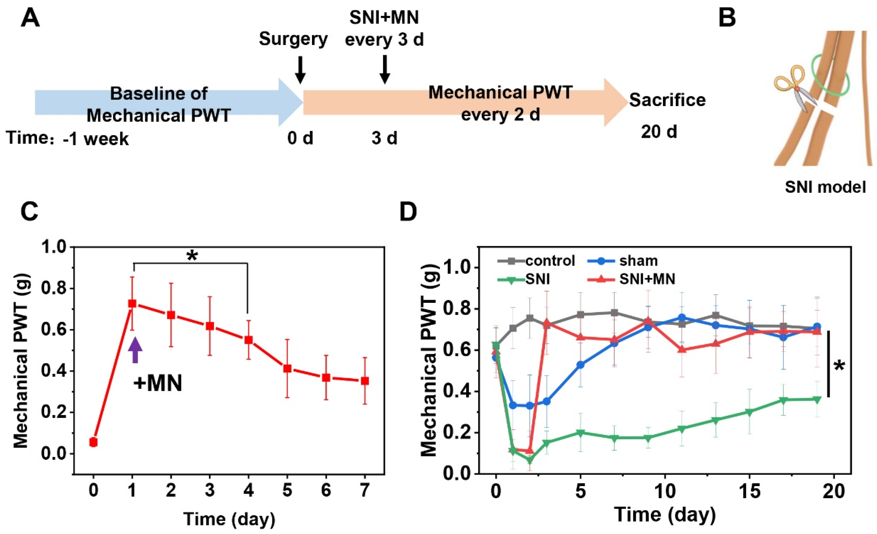 Marinedrugs 23 00161 g006