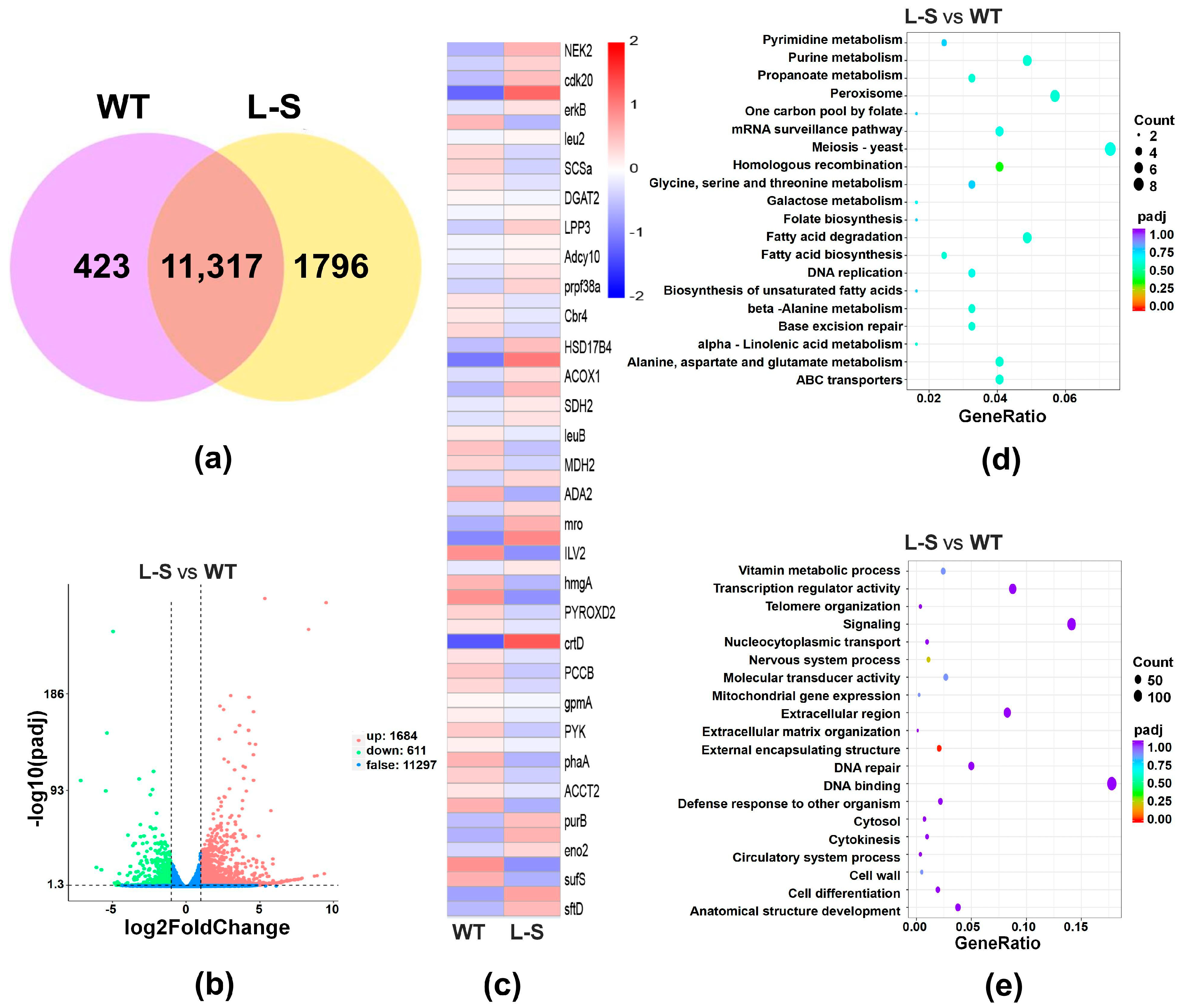 Marinedrugs 23 00164 g006