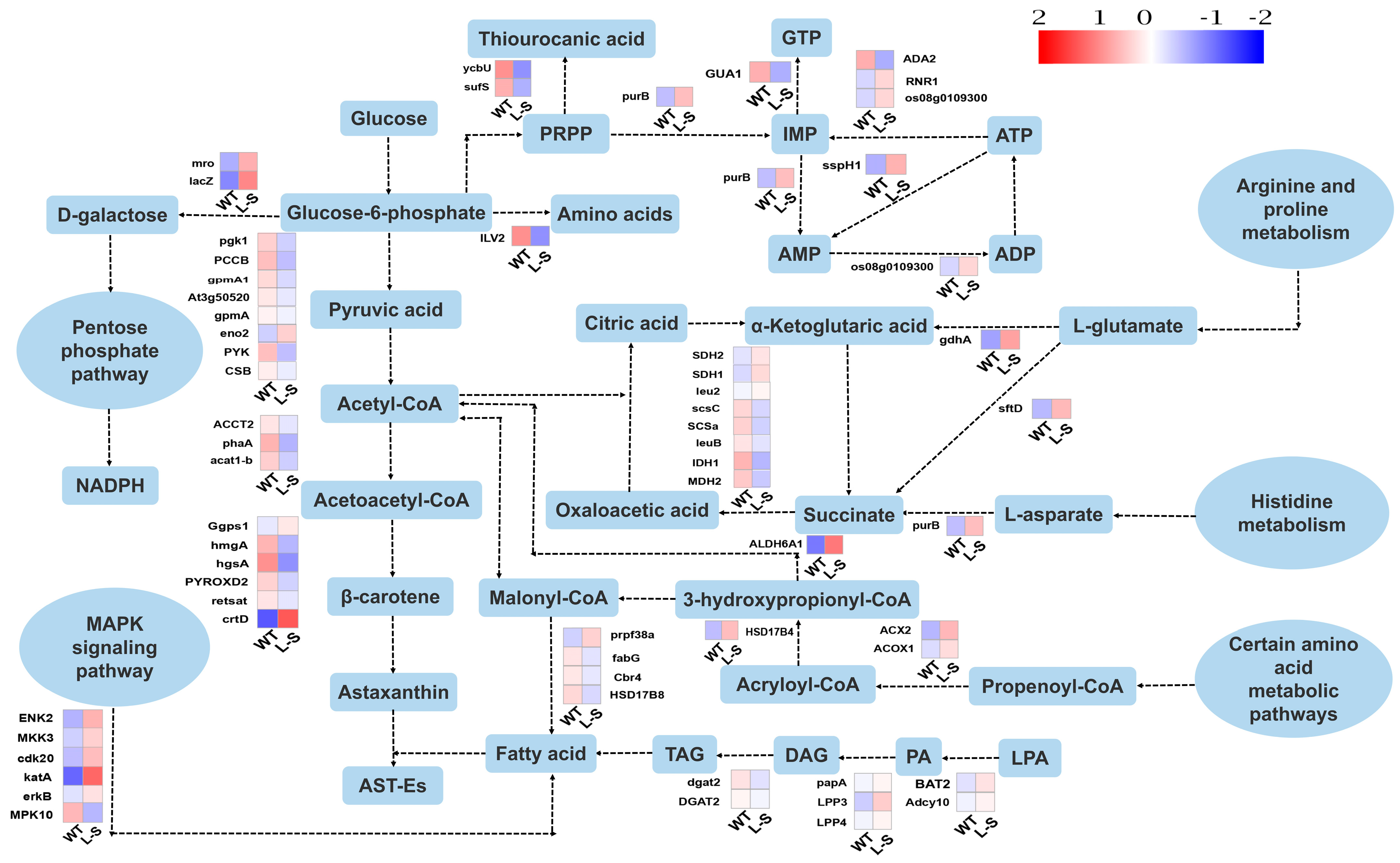 Marinedrugs 23 00164 g007