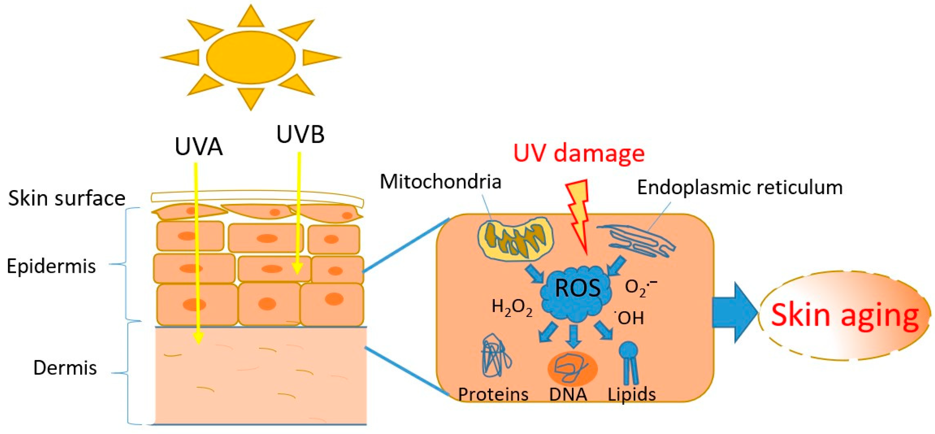 Marinedrugs 23 00165 g003