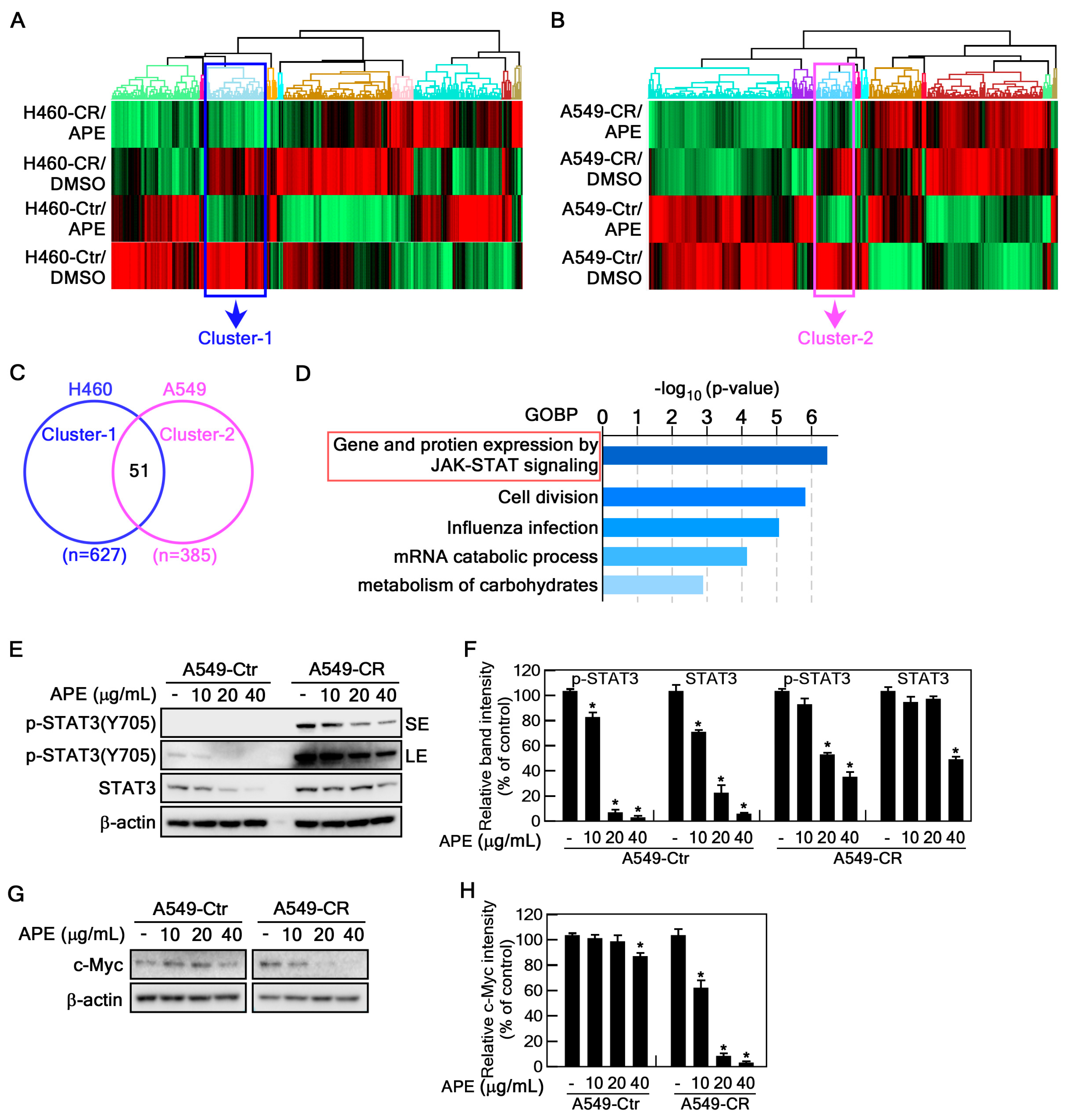 Marinedrugs 23 00167 g004