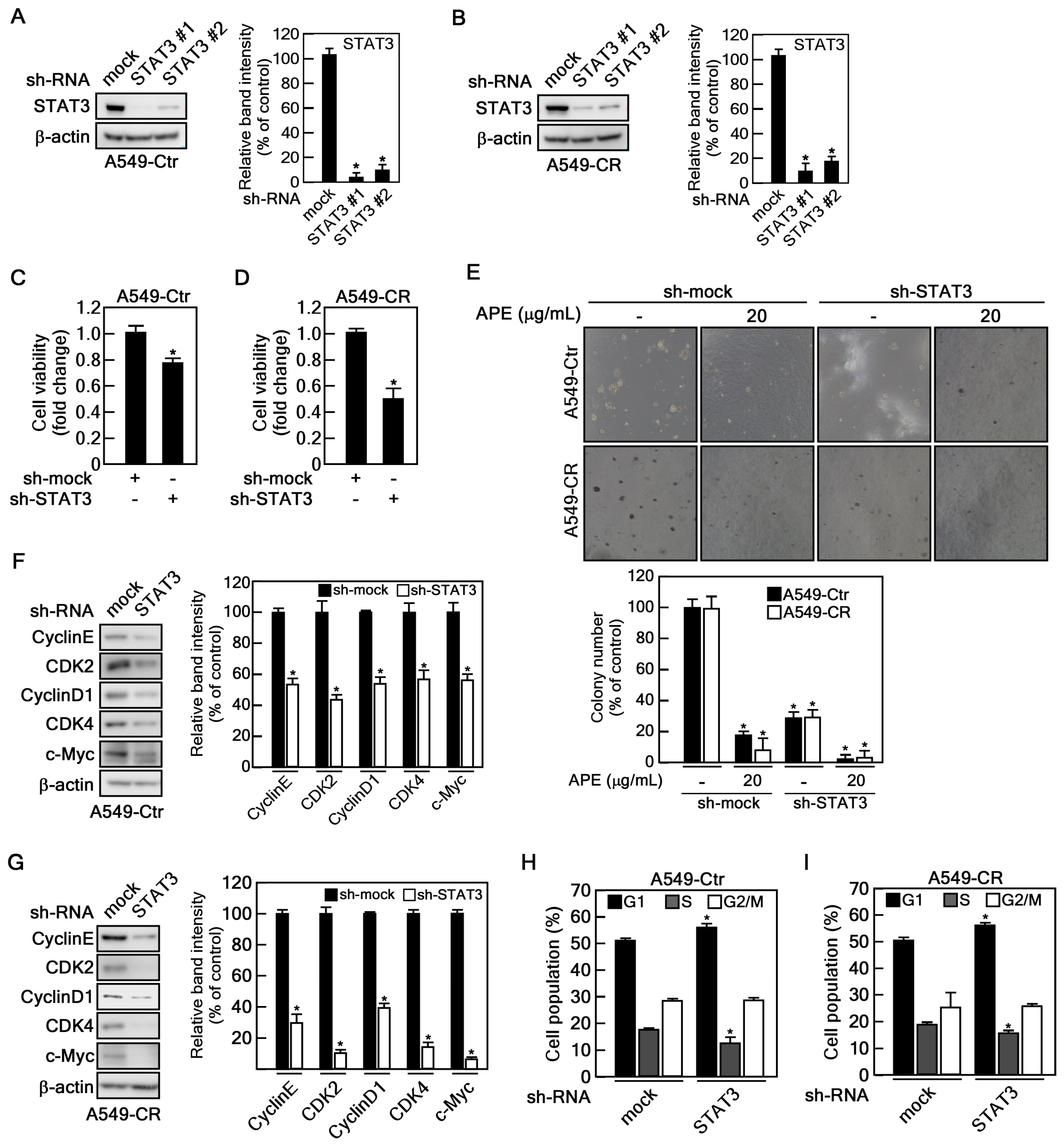 Marinedrugs 23 00167 g005