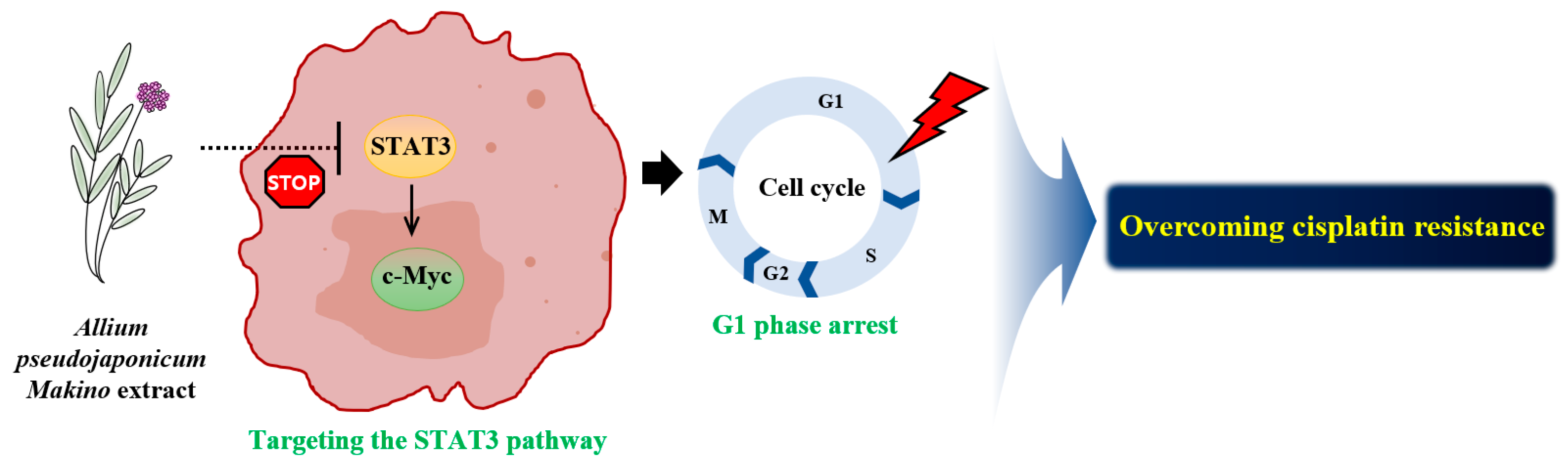 Marinedrugs 23 00167 g006