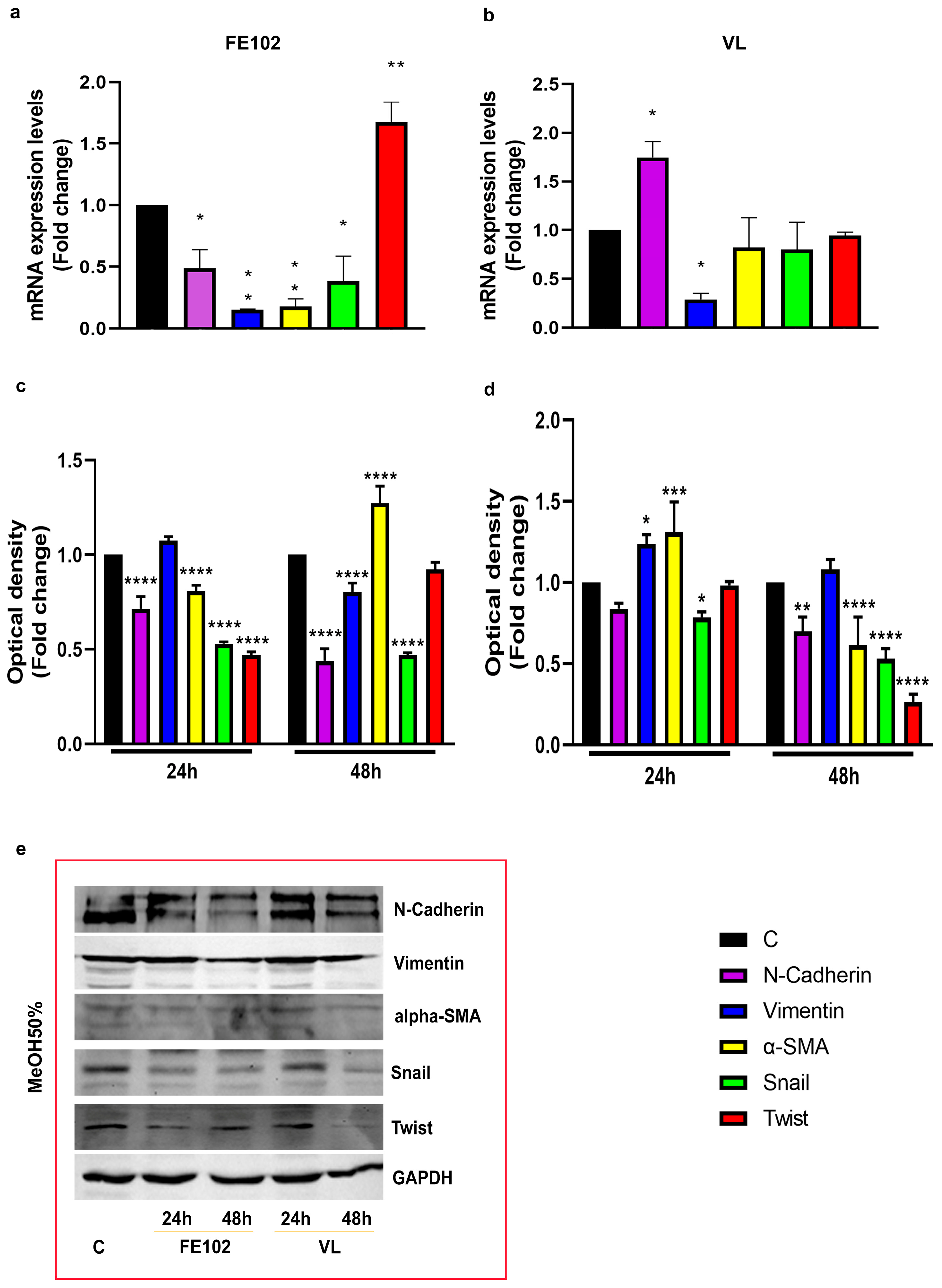 Marinedrugs 23 00173 g006