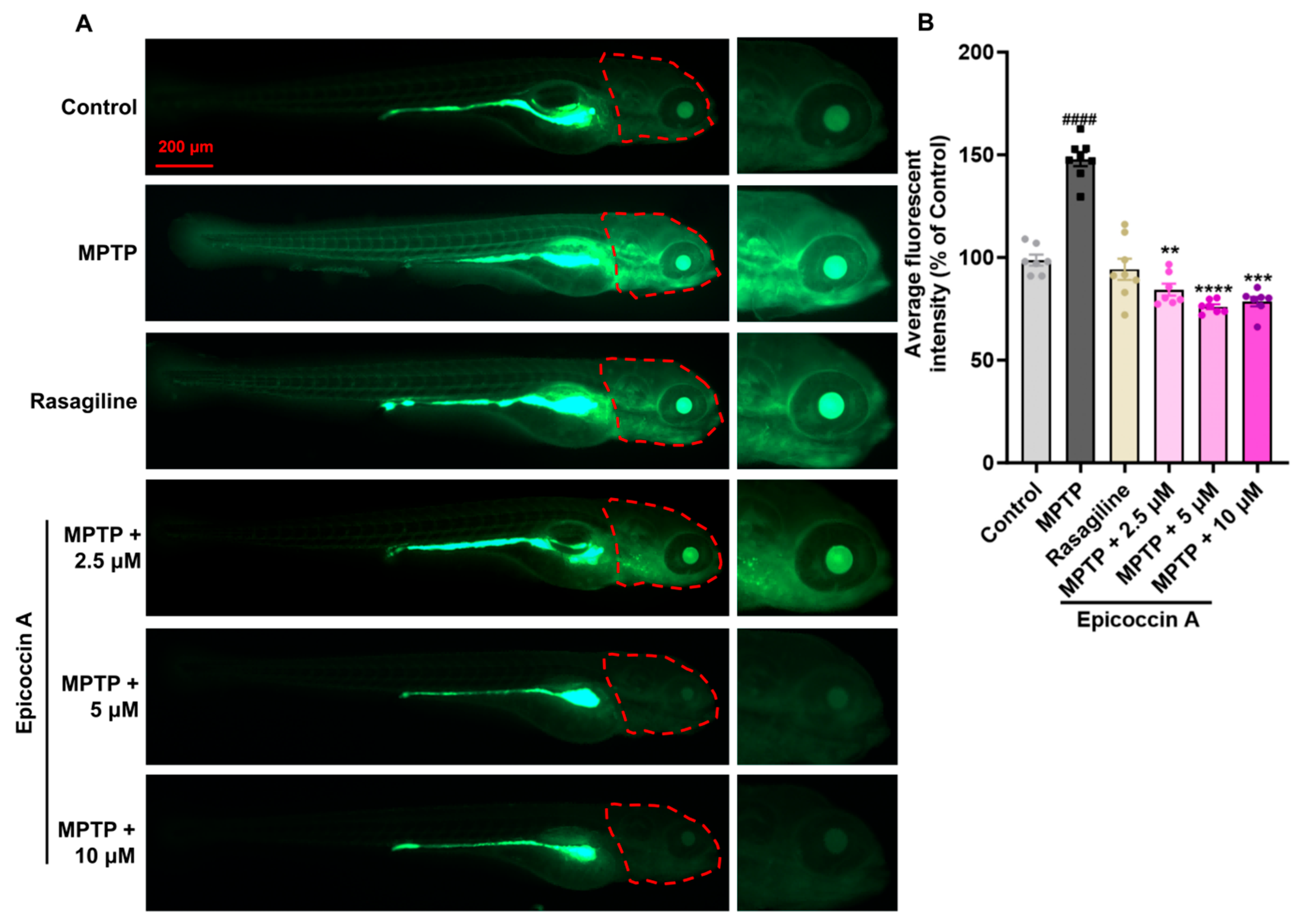Marinedrugs 23 00175 g005