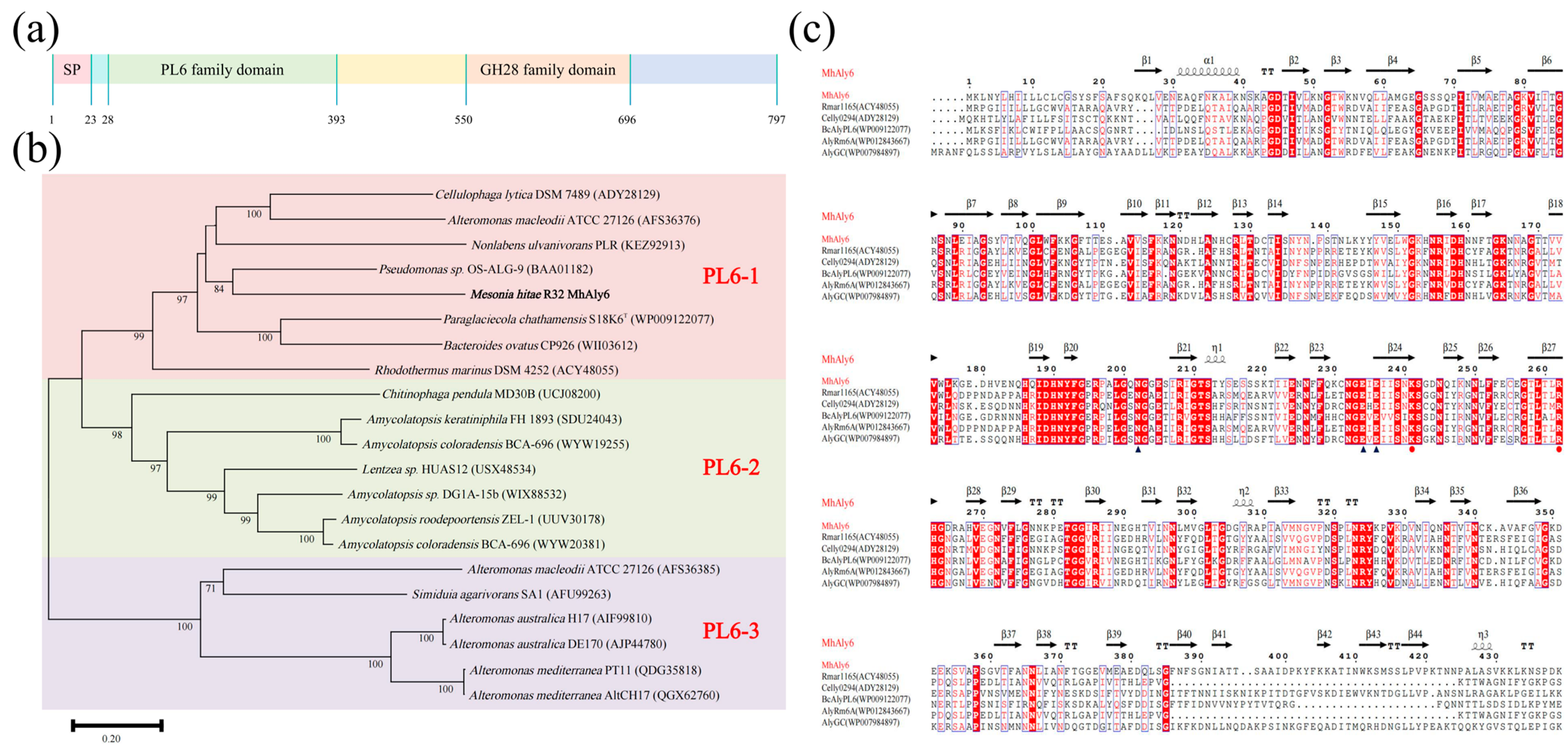 Marinedrugs 23 00176 g001