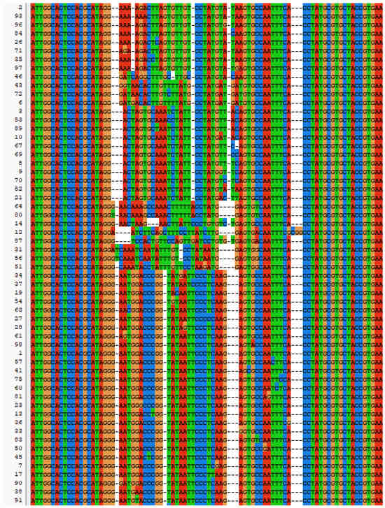 Marinedrugs 23 00183 g0a1a