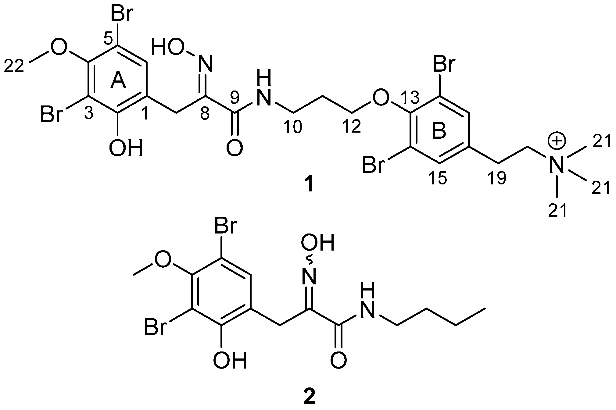 Marinedrugs 23 00186 g001