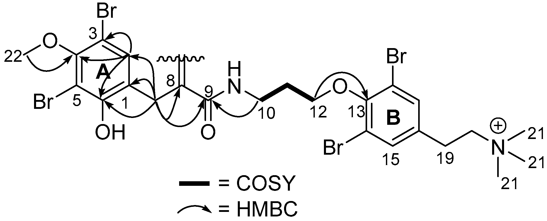 Marinedrugs 23 00186 g003