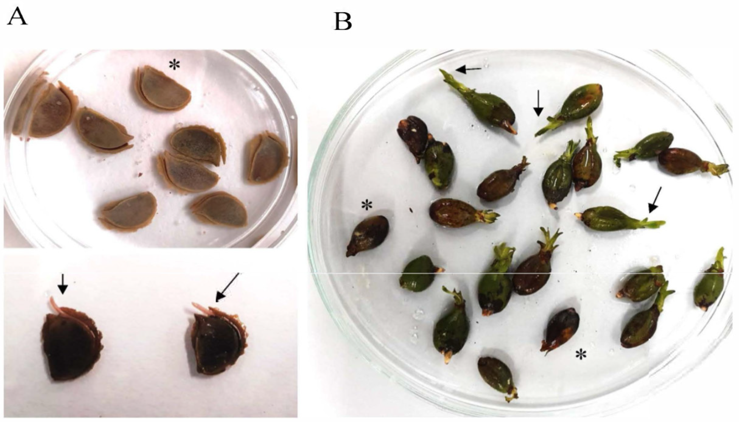 Marinedrugs 23 00193 g005 Marinedrugs 23 00193 g005