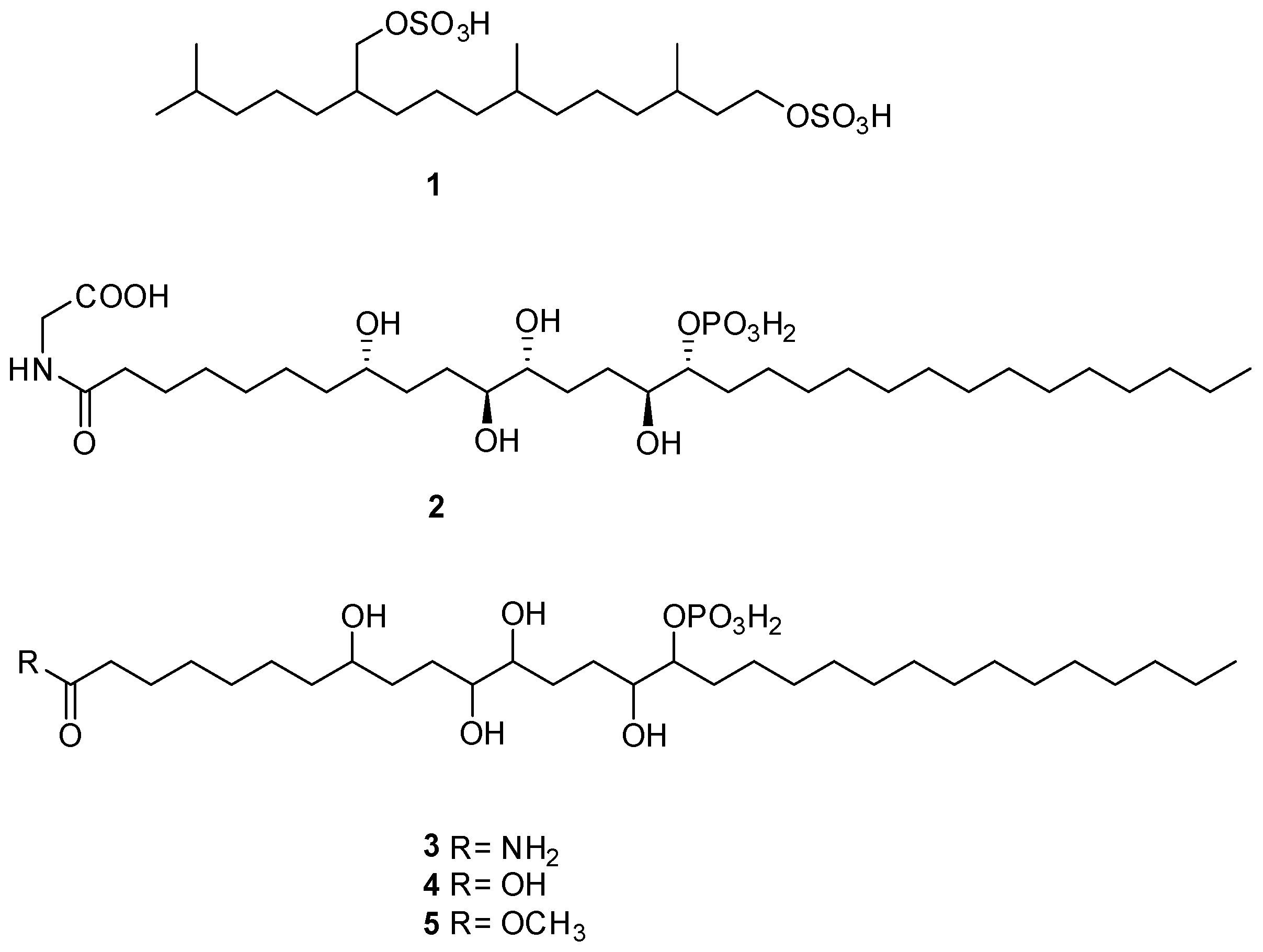 Marinedrugs 23 00195 g001