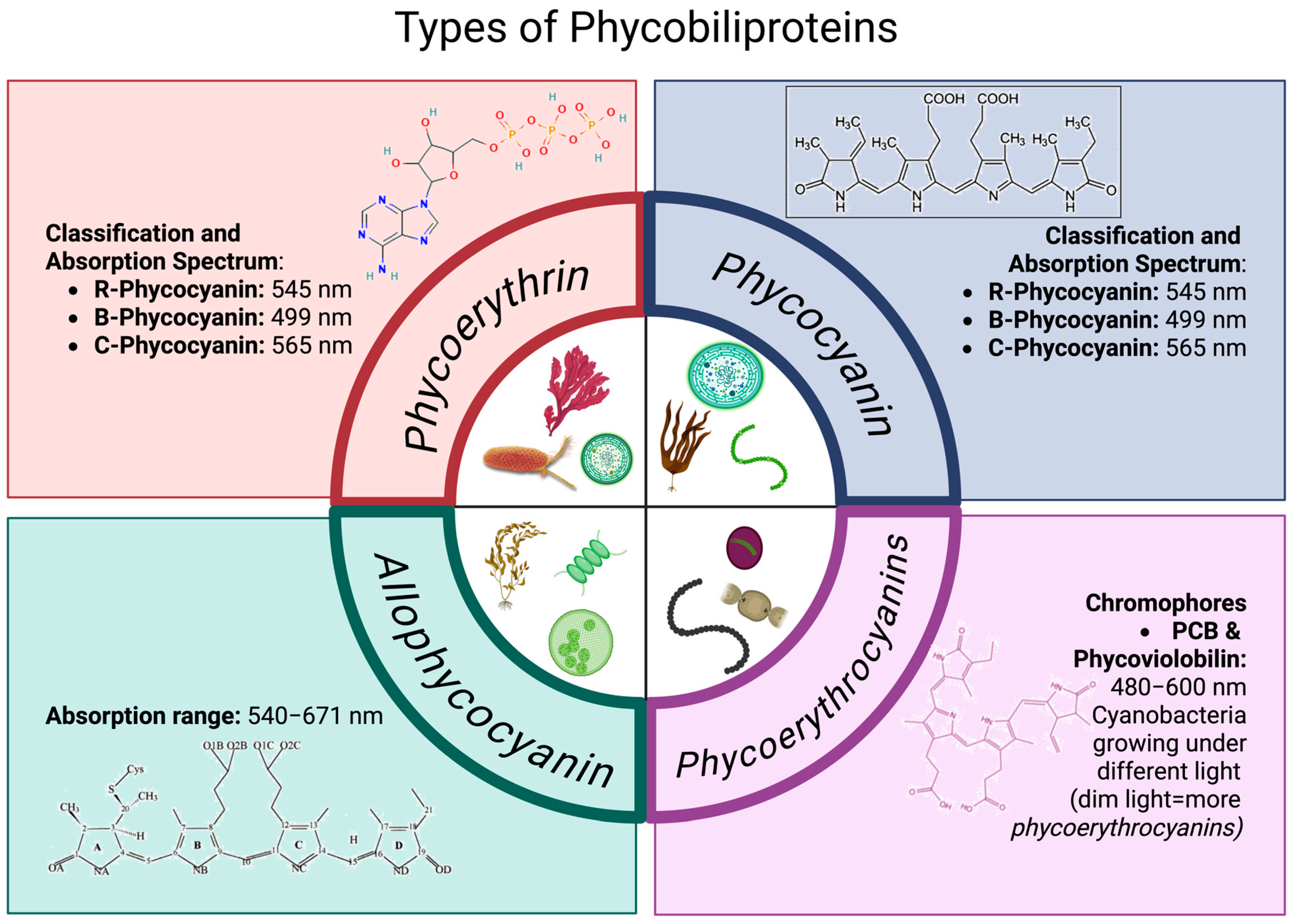 Marinedrugs 23 00201 g002